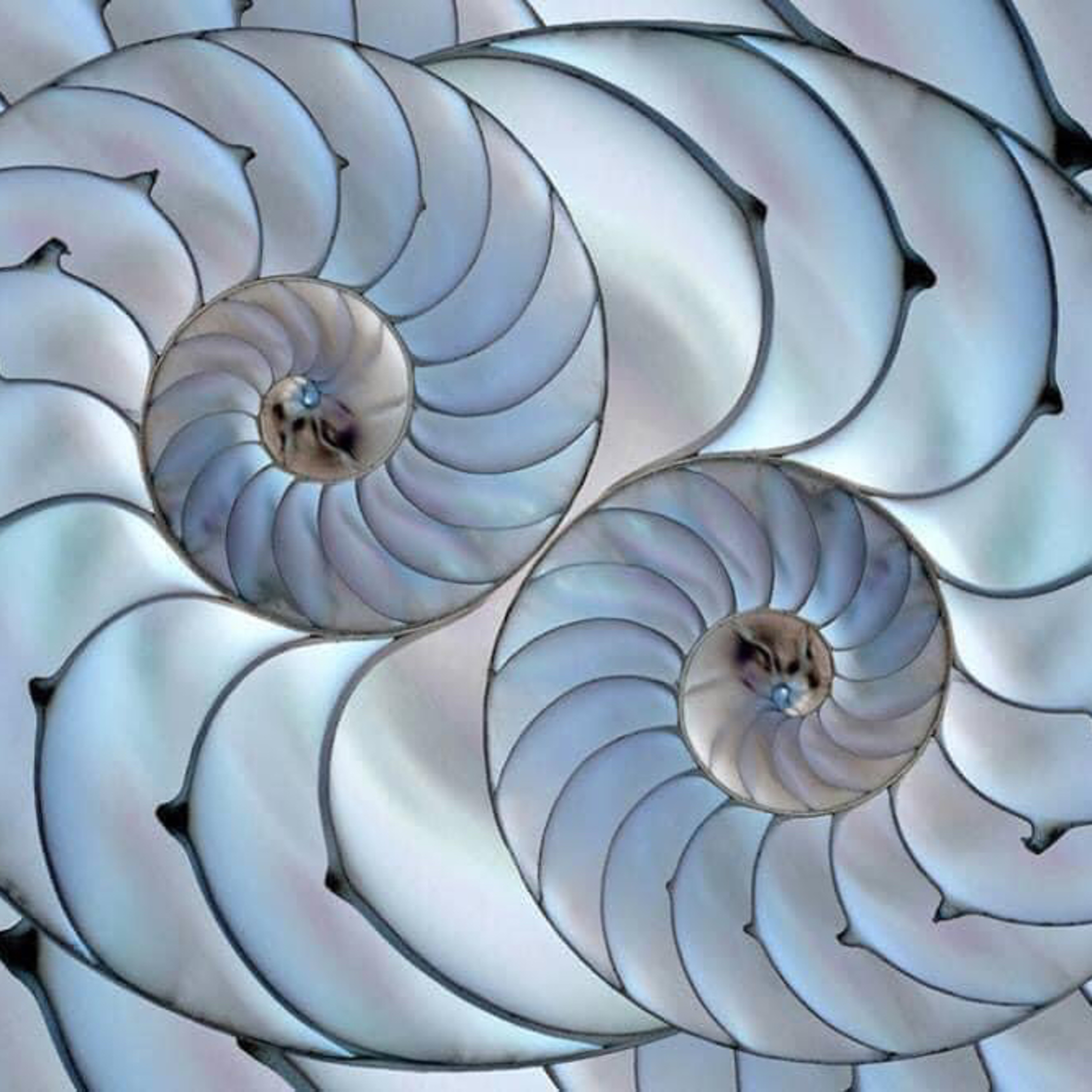 Shri’s Inner Circle
