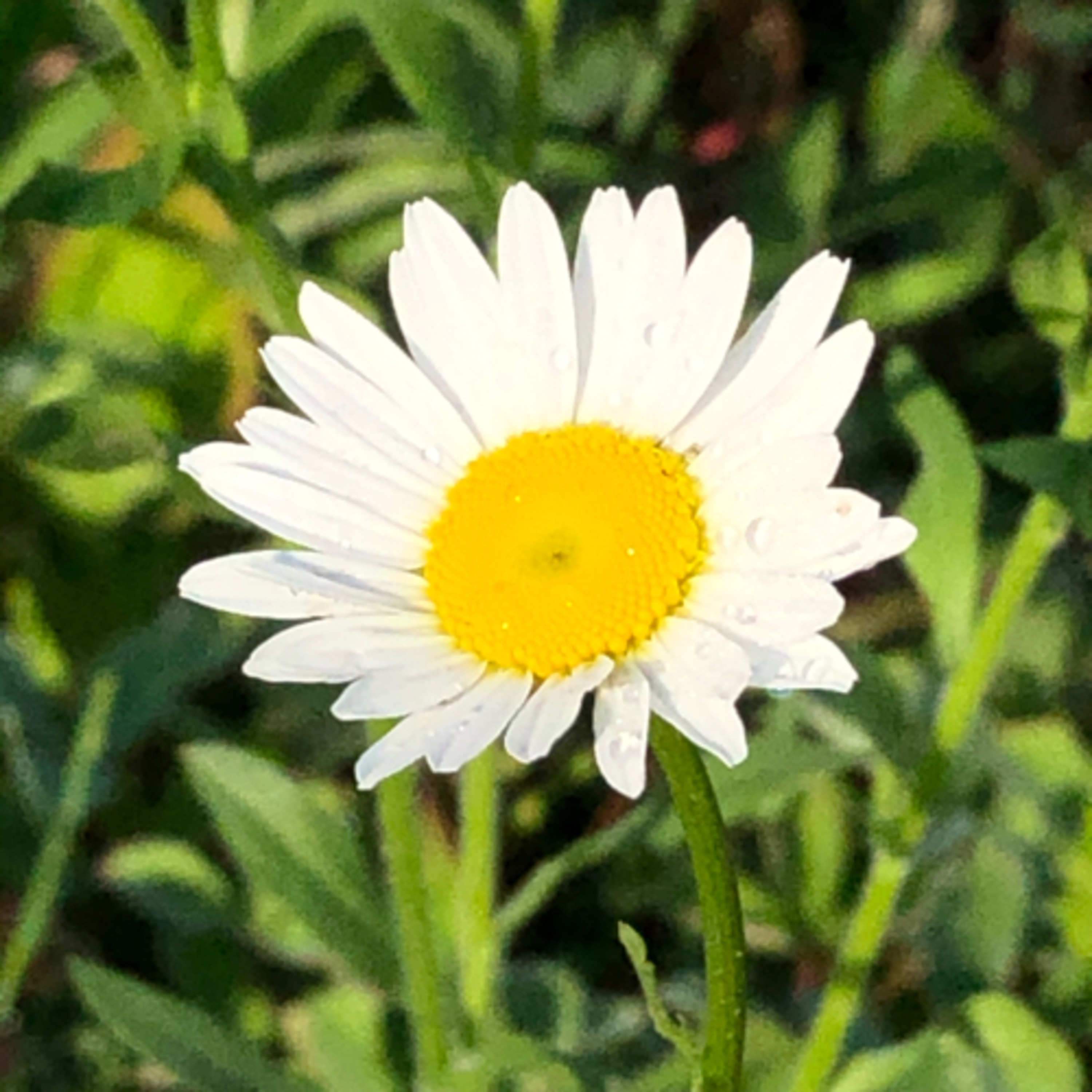 Shri’s Inner Circle