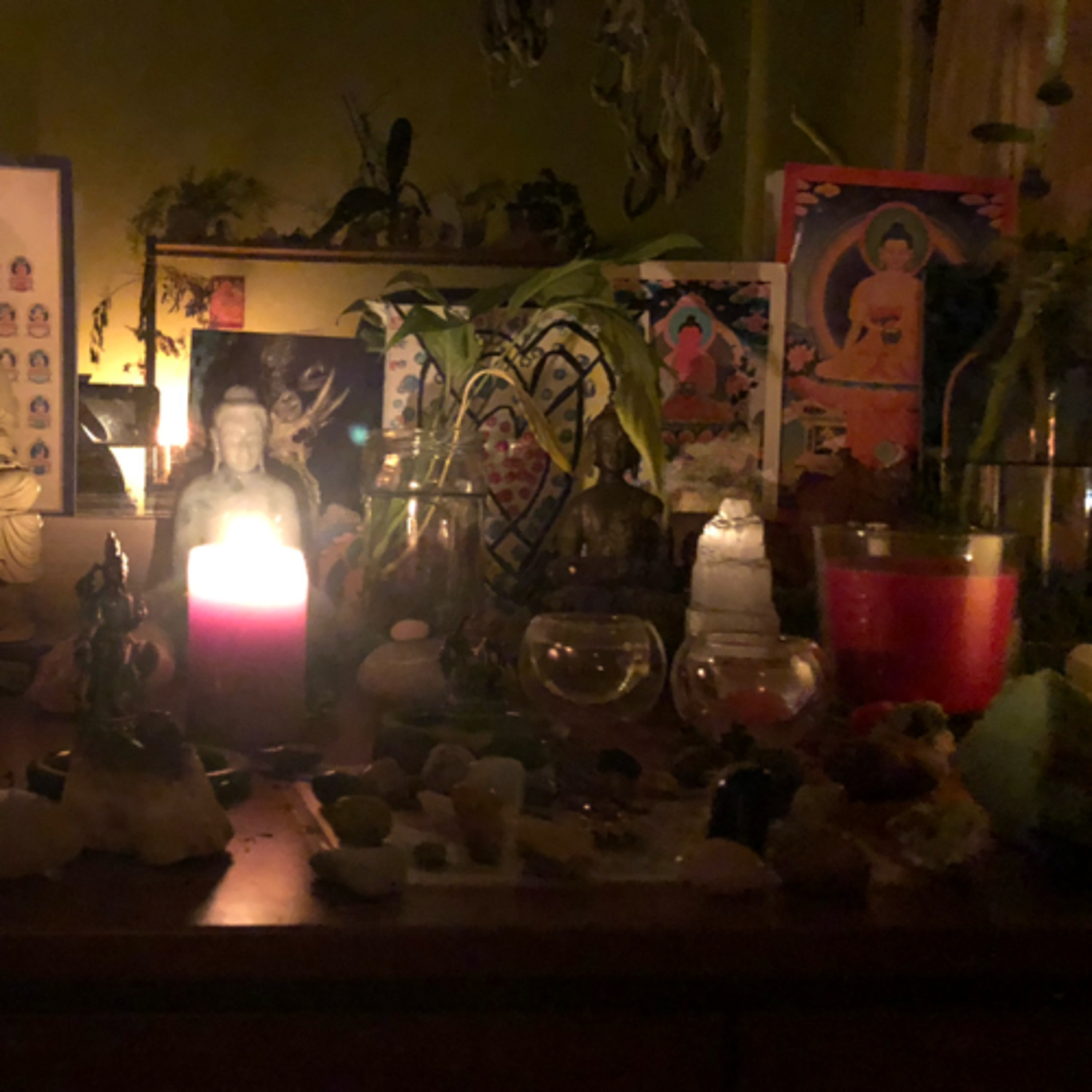 Shri’s Inner Circle