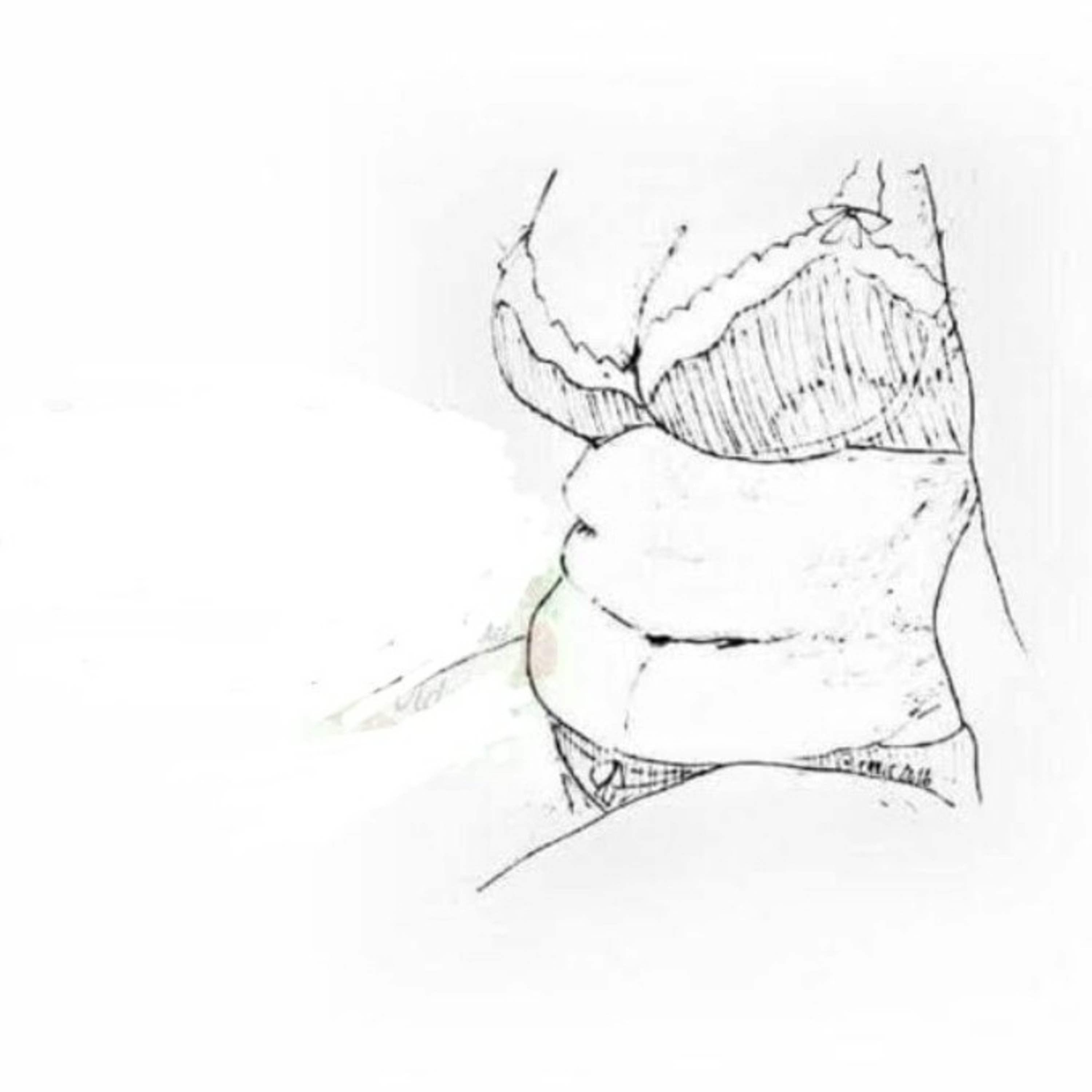 Siempre perfecta episode artwork