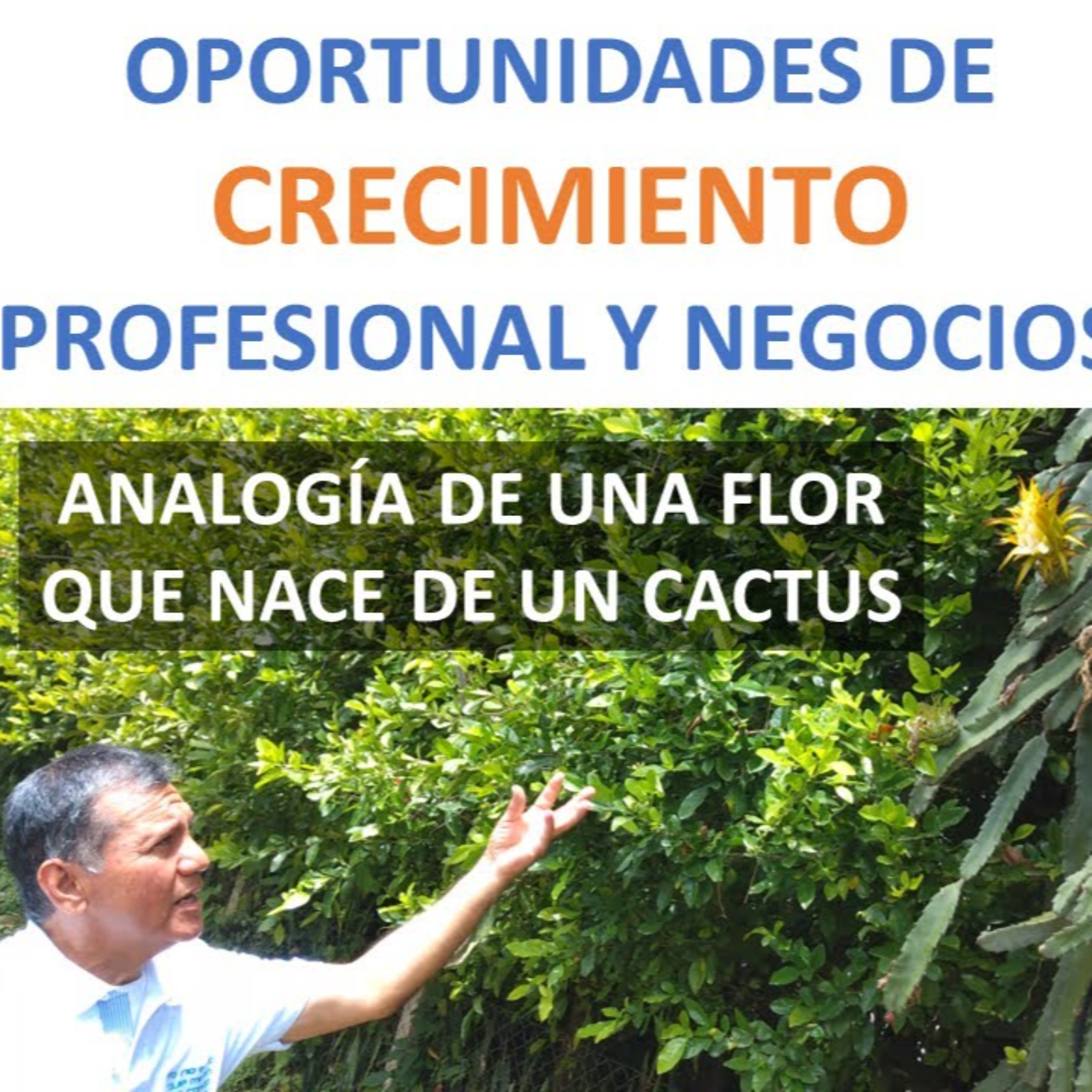 Somos Experiencia