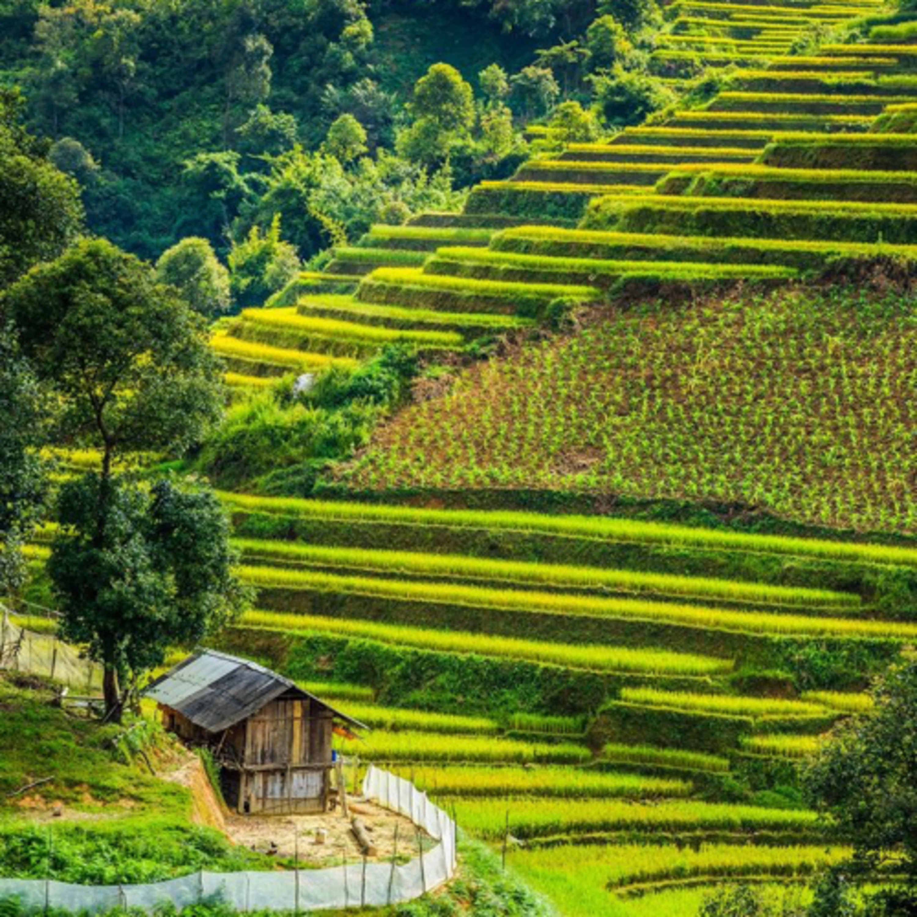 Penguatan produk lokal sebagai potensi desa wisata 