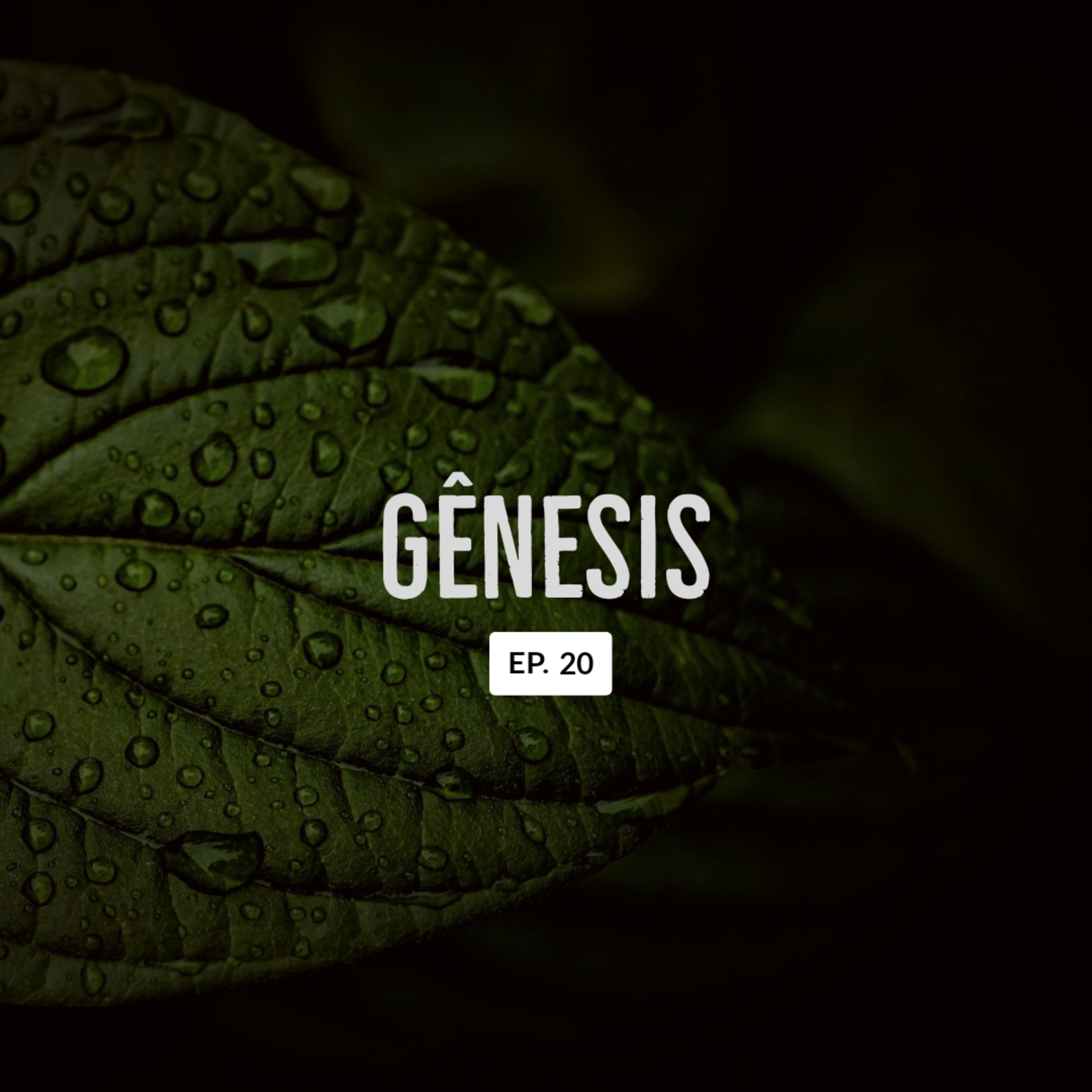 Gênesis • Episódio 20 episode artwork