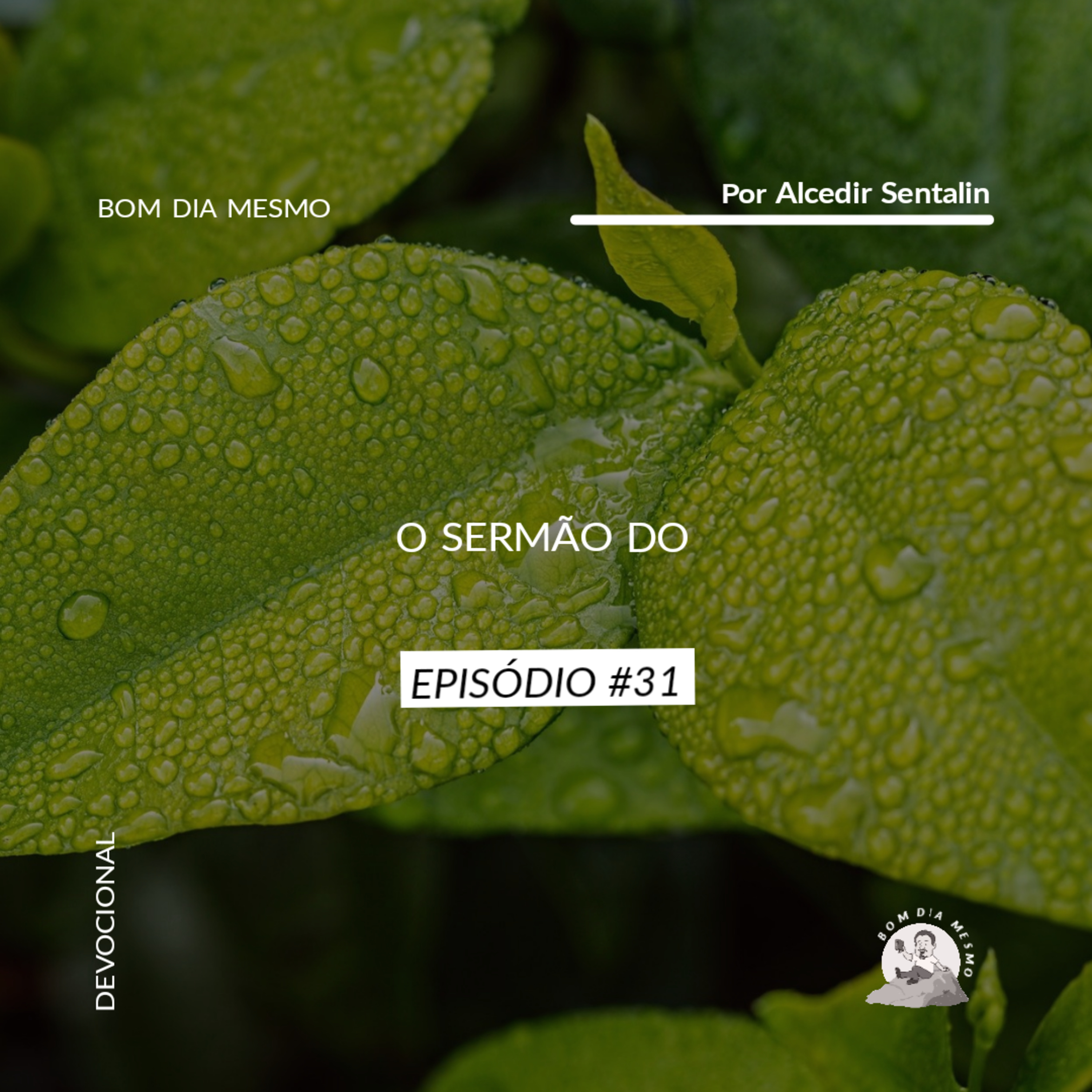 Bom dia Mesmo