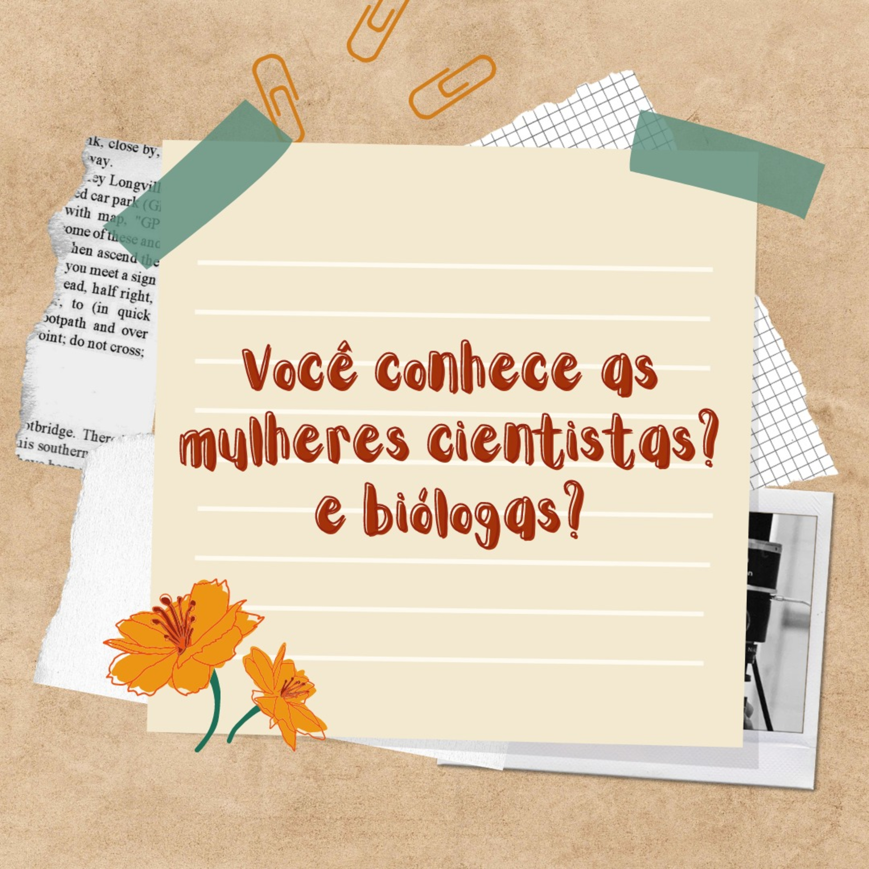 Análise dos dados do formulário