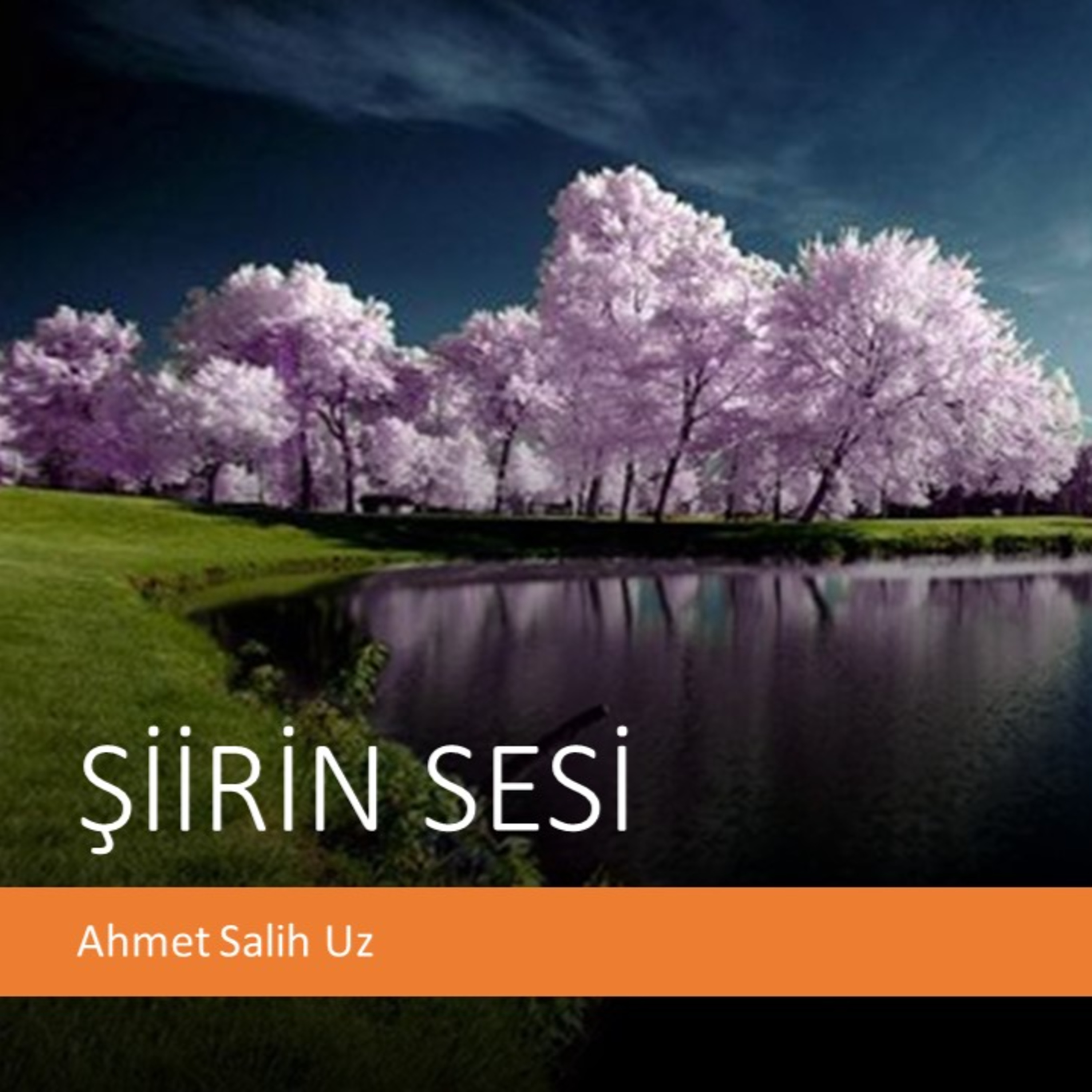 ŞİİRİN SESİ