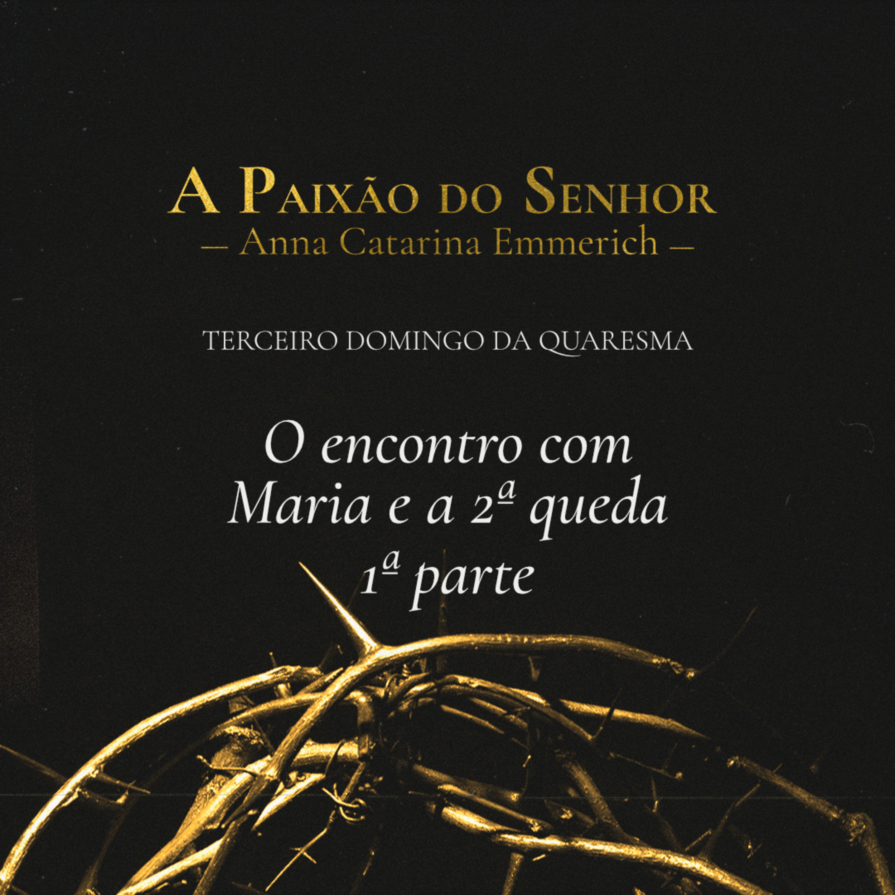 T.02 Ep.19 | 3º Domingo - O encontro com Maria e a 2ª queda - 1ª parte episode artwork