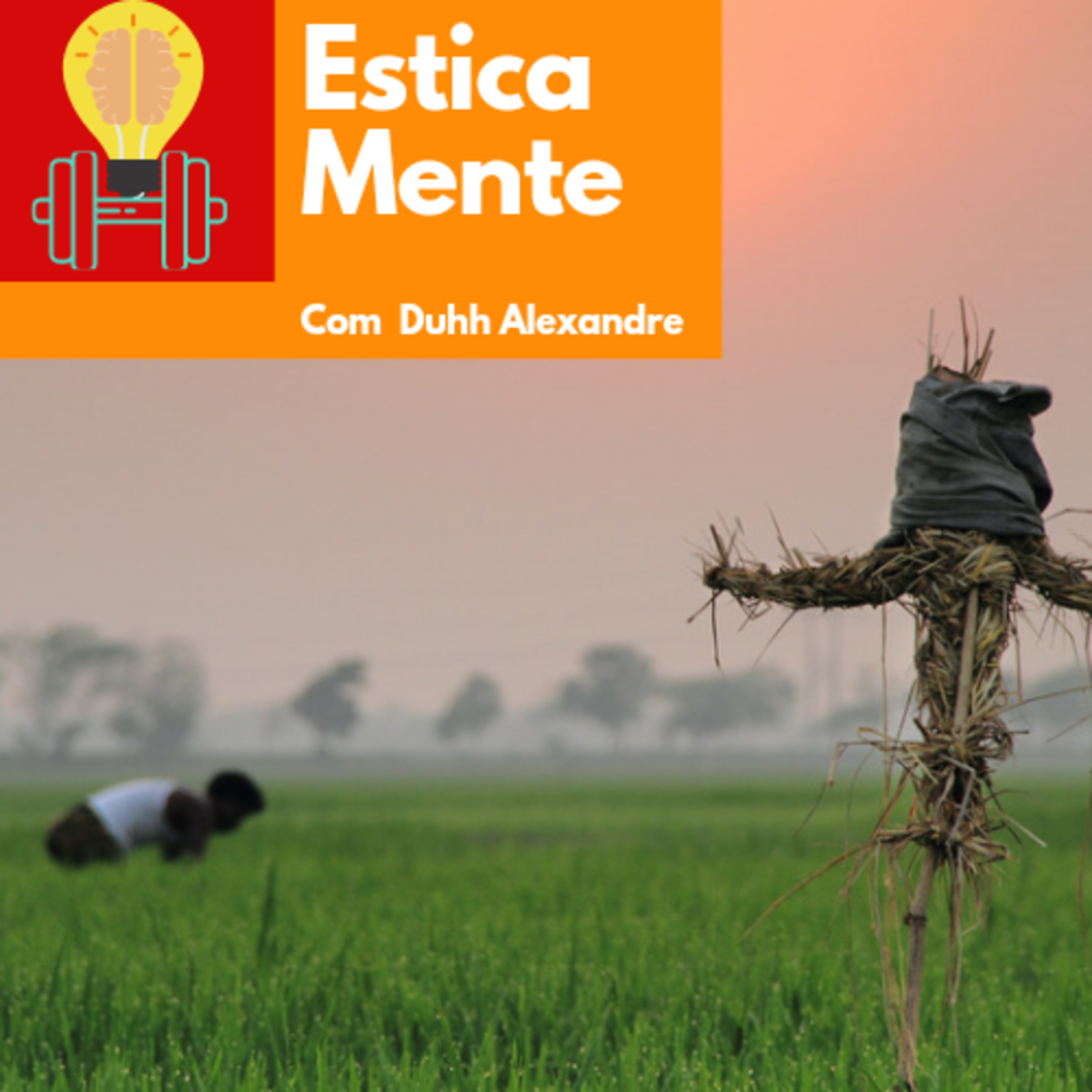 O sucesso e o Espantalho! episode artwork