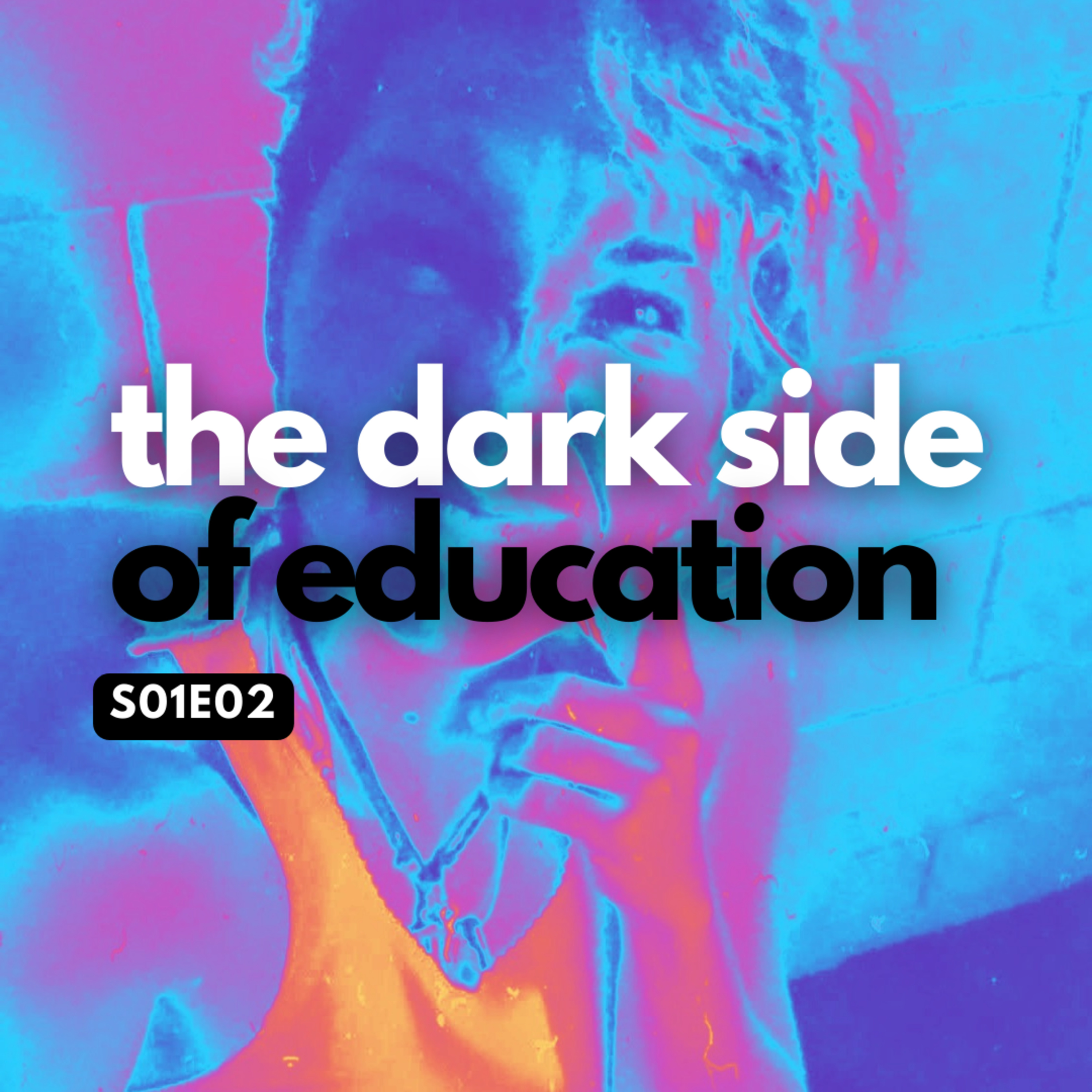What The Education System Is Hiding From Us episode artwork