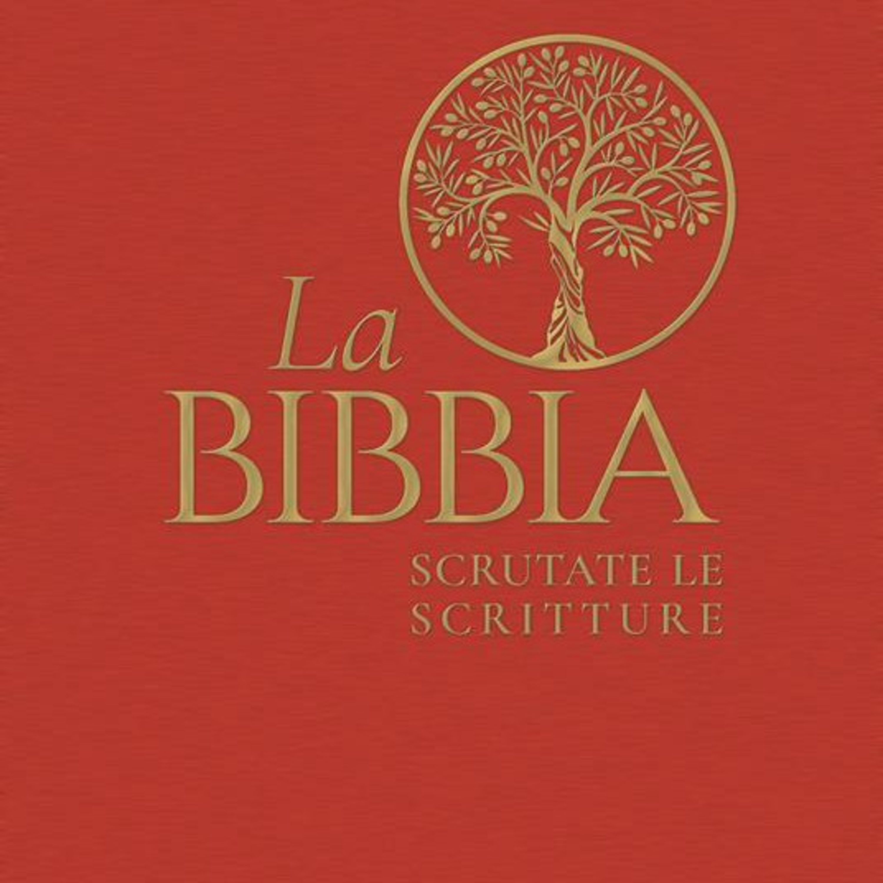 La Bibbia ad alta voce #4: Origine della violenza  episode artwork