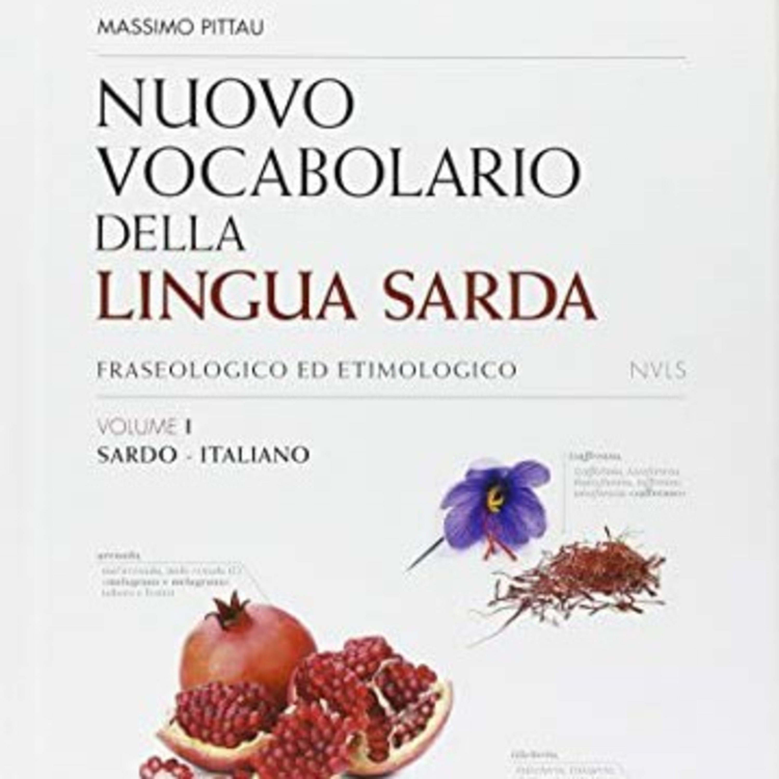 Nuovo Vocabolario della Lingua Sarda, Massimo Pittau

 episode artwork