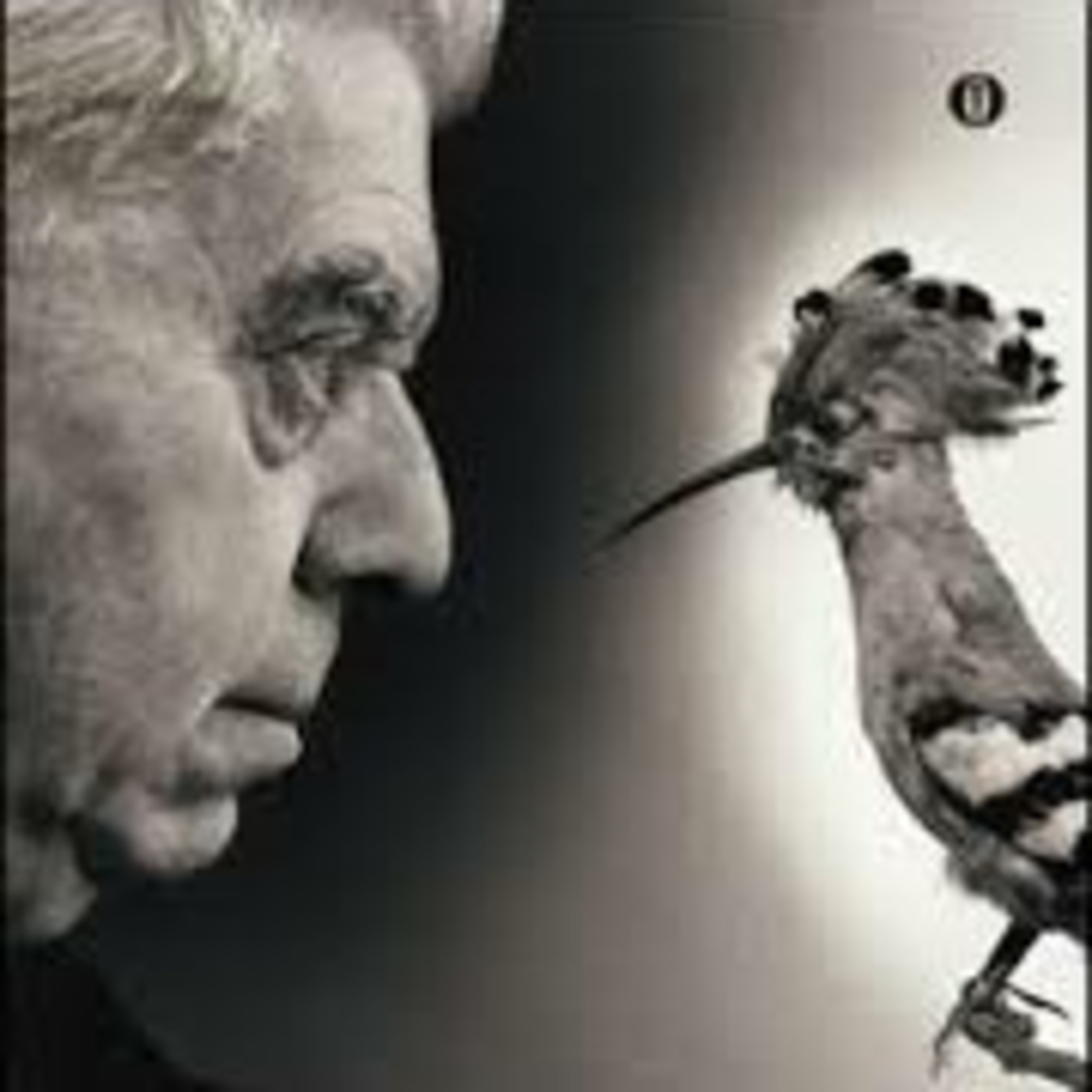 Poema del giorno: Epigramma, Eugenio Montale  episode artwork