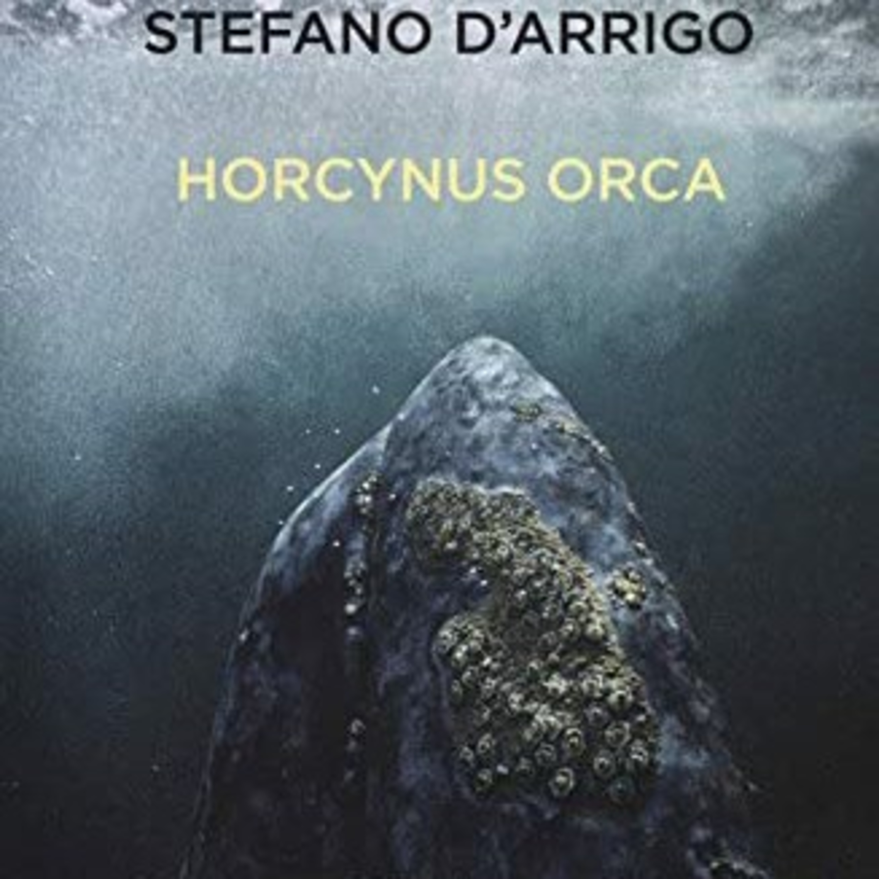Ad alta voce #2: Horcynus Orca, Stefano D'Arrigo episode artwork