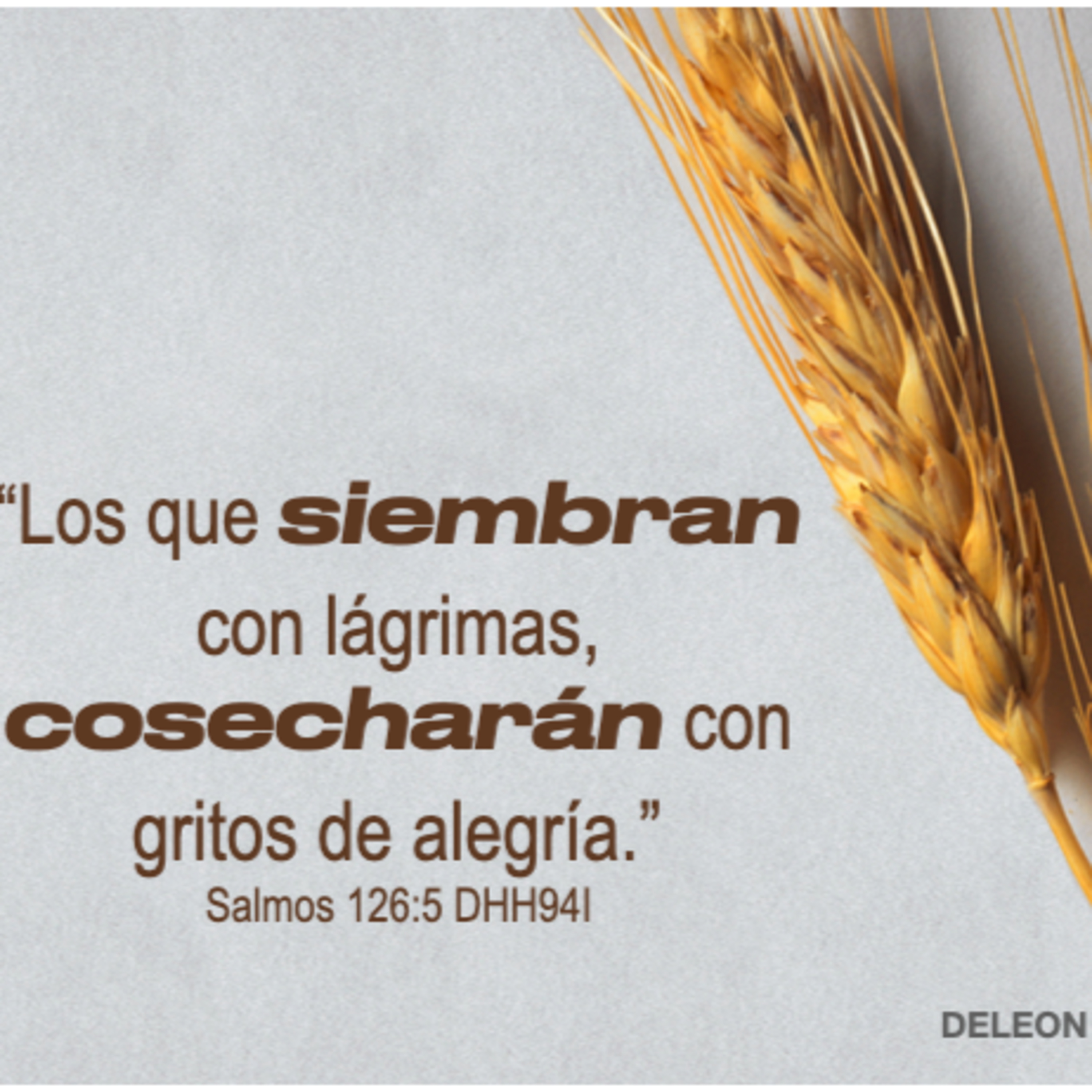 MOMENTOS CON LA PALABRA