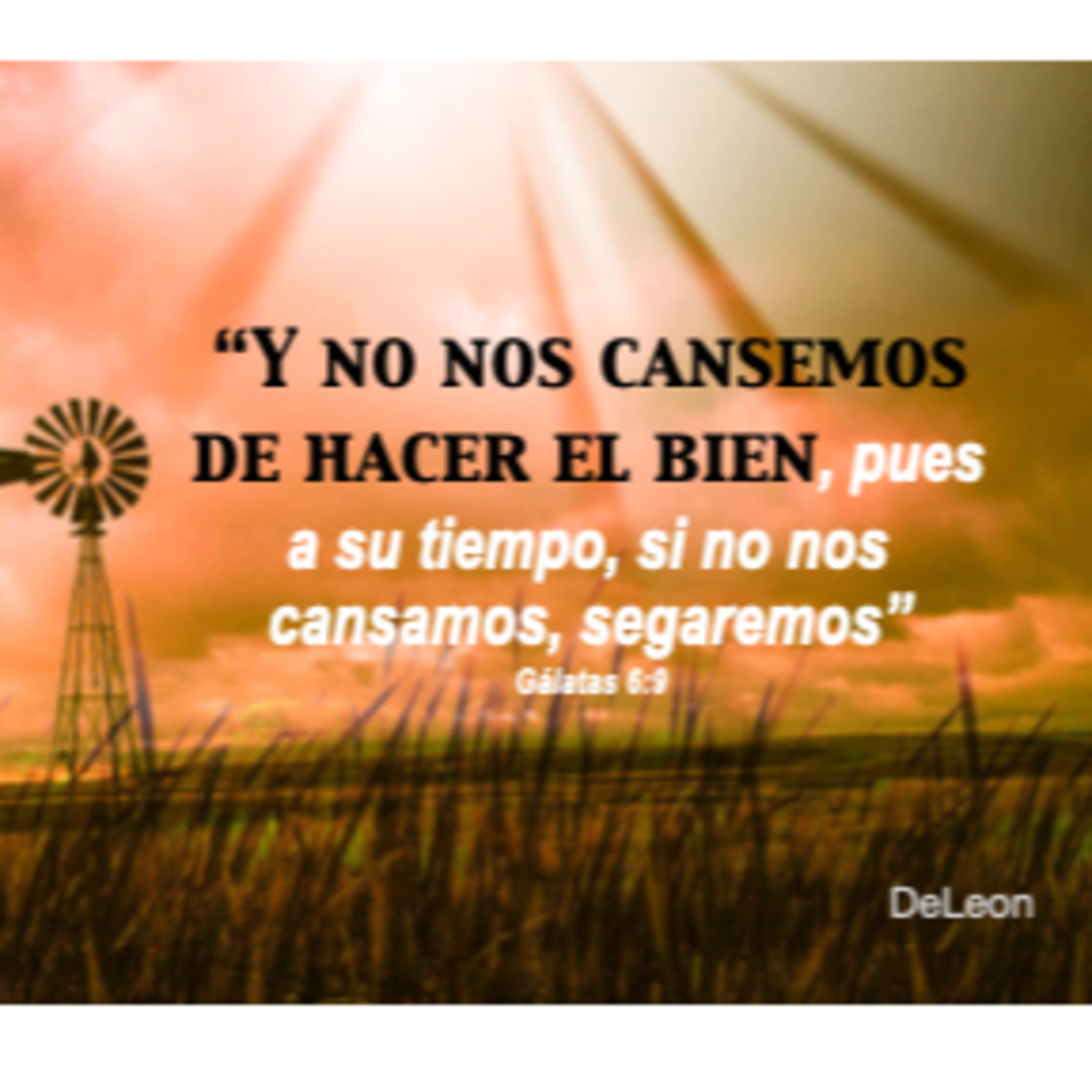 MOMENTOS CON LA PALABRA