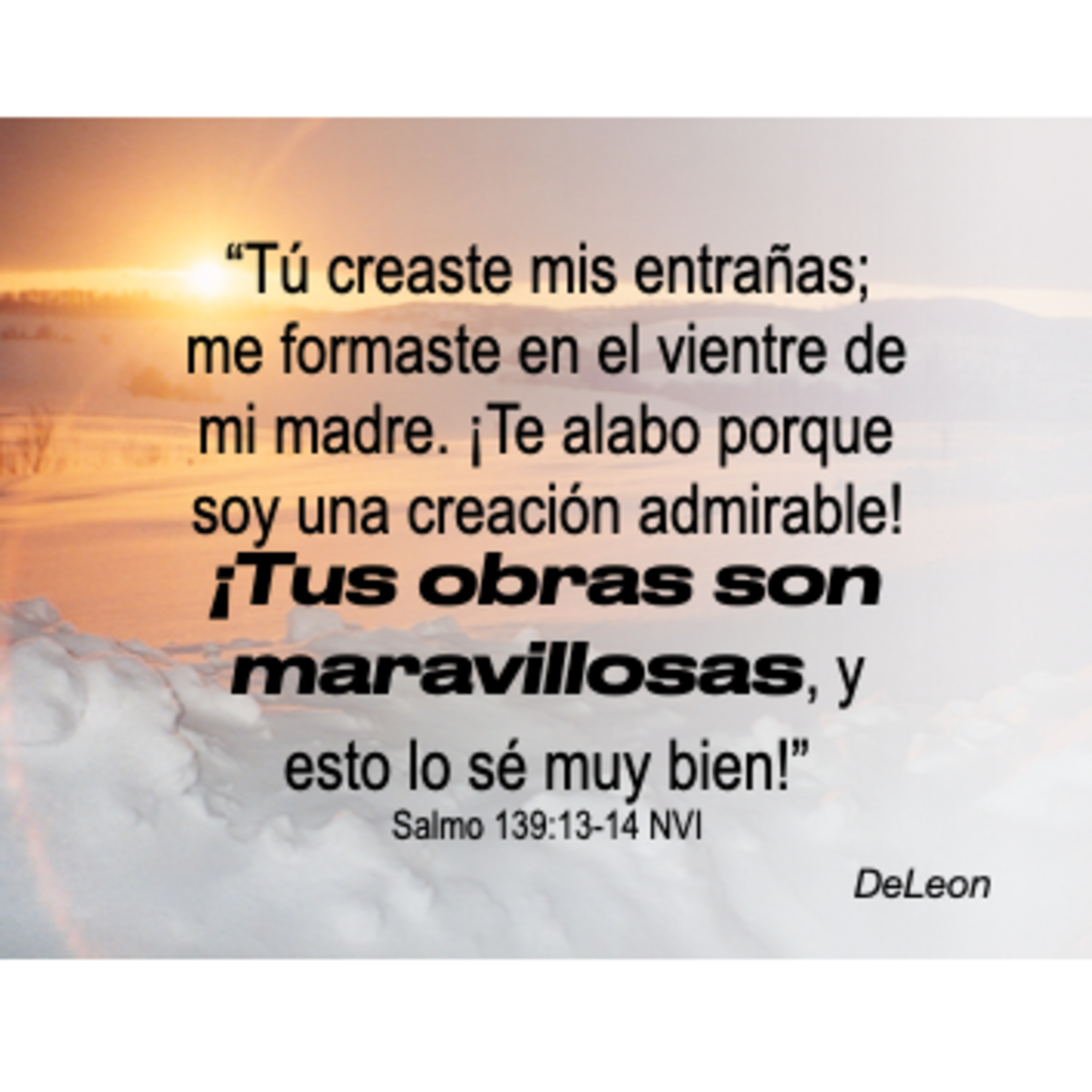 MOMENTOS CON LA PALABRA