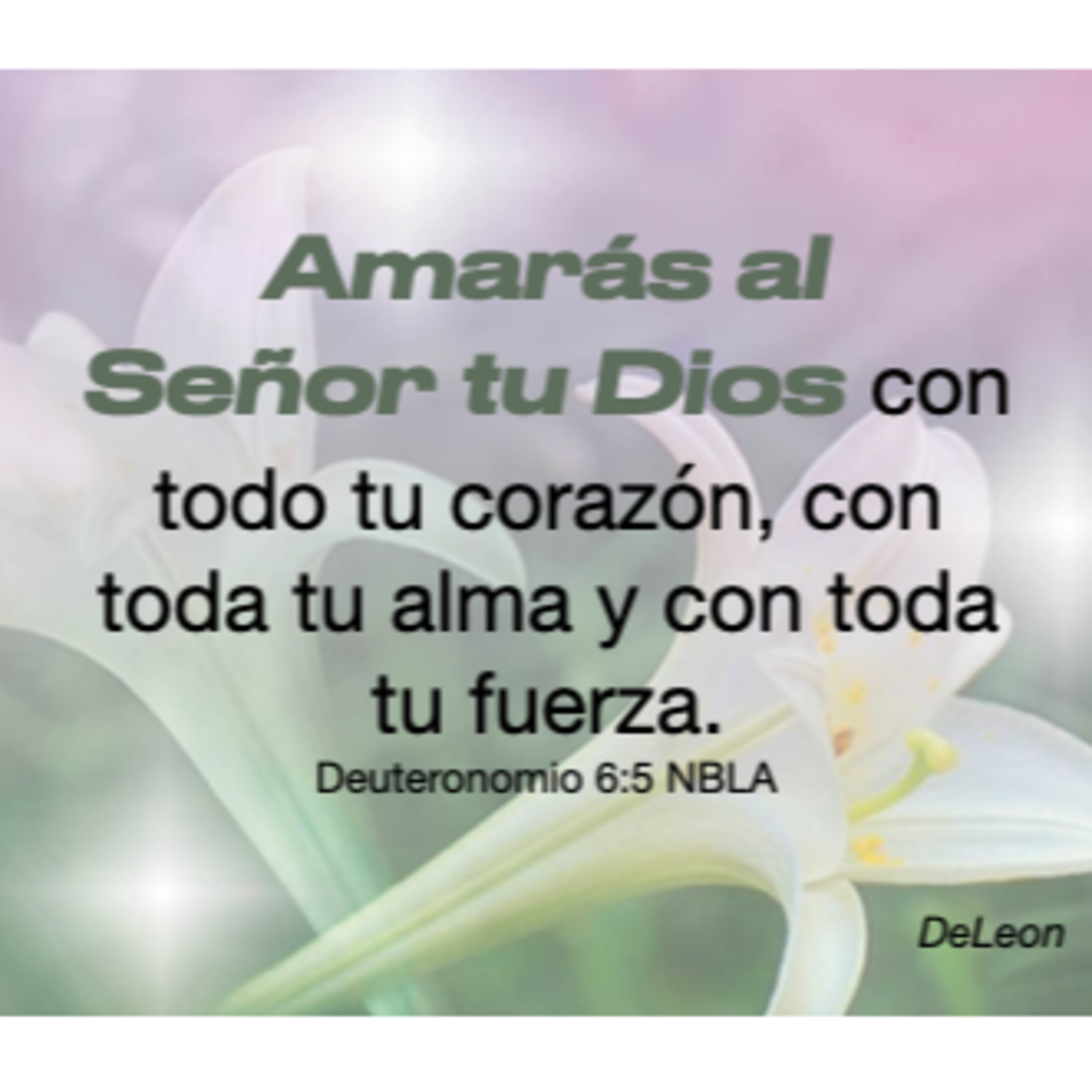 MOMENTOS CON LA PALABRA