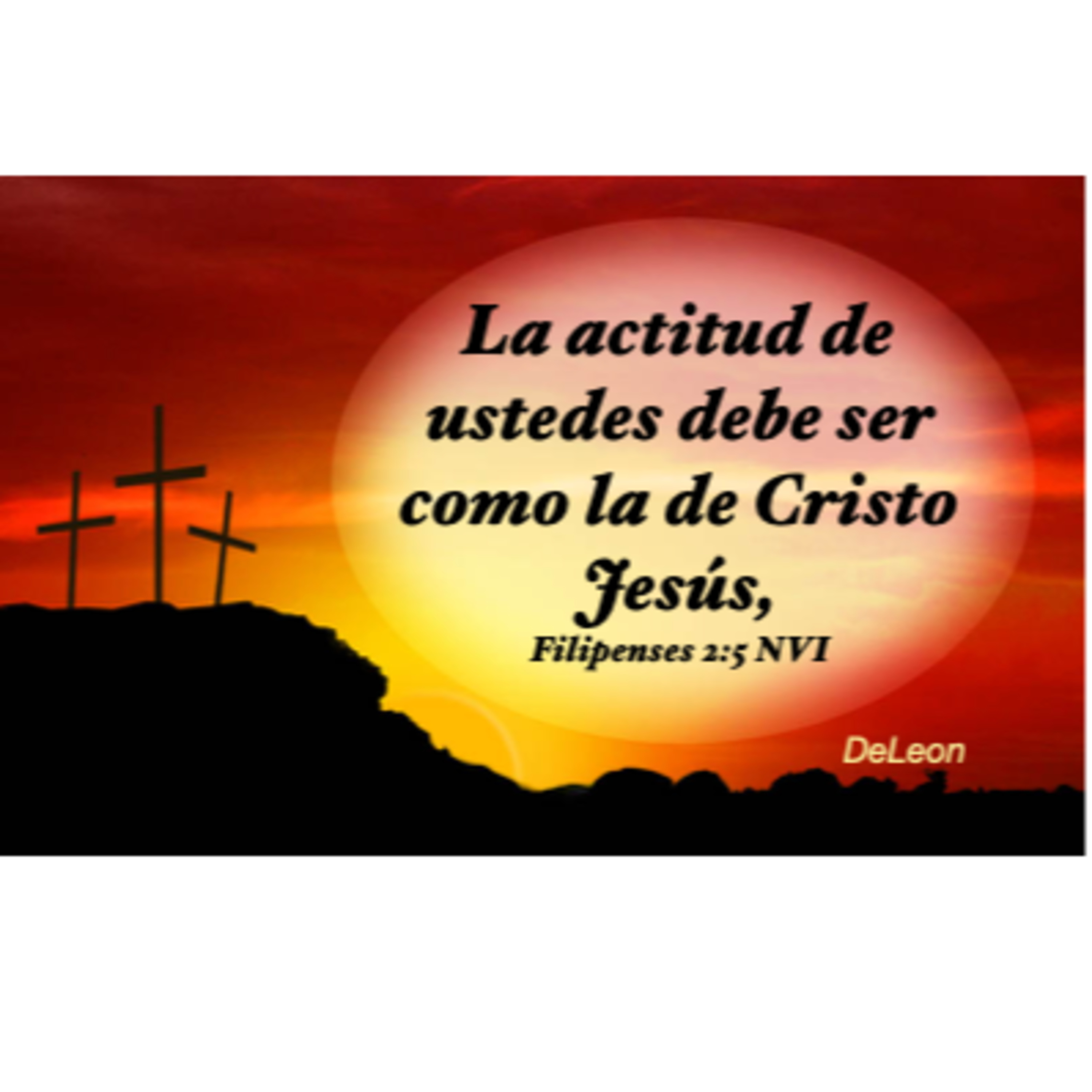 MOMENTOS CON LA PALABRA