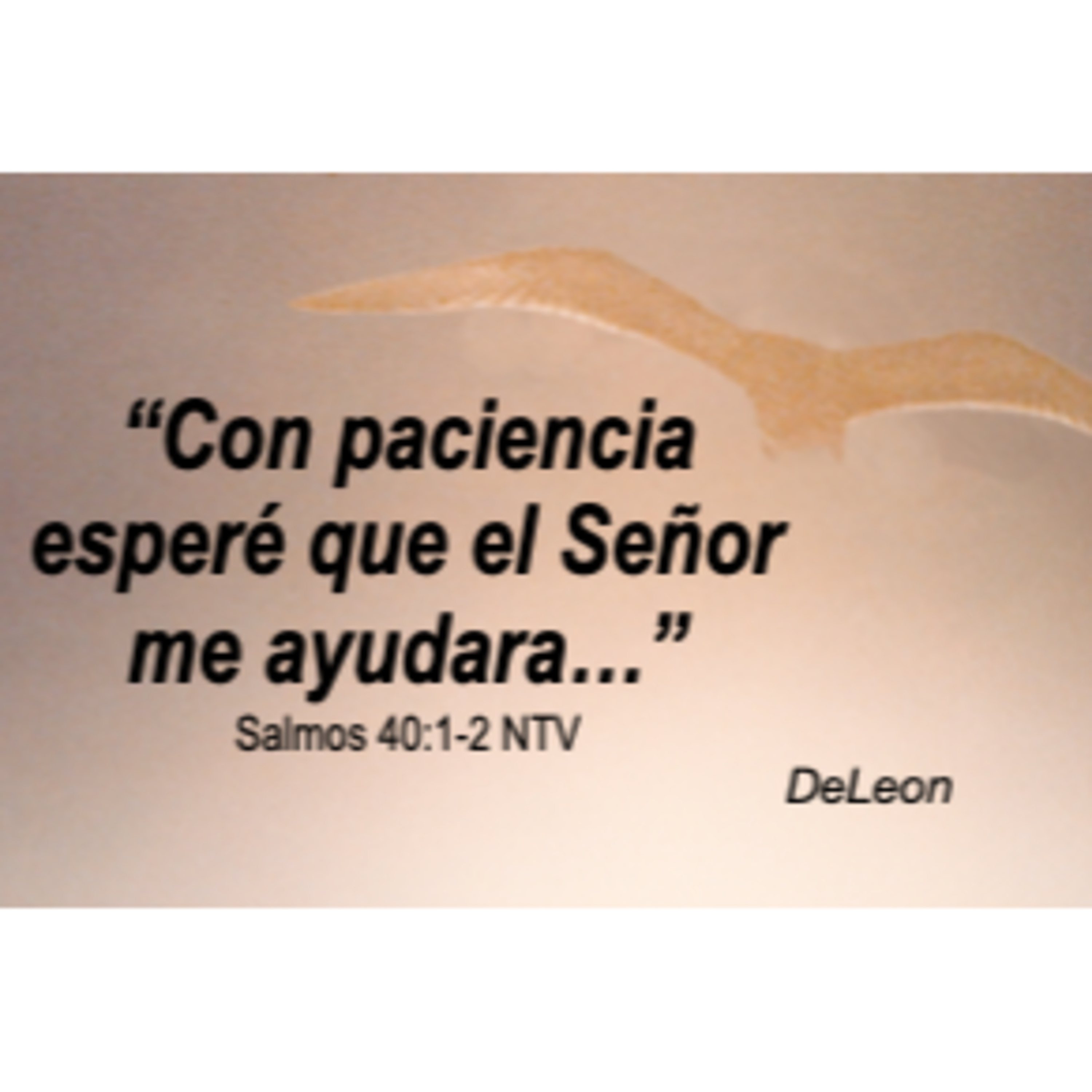 MOMENTOS CON LA PALABRA