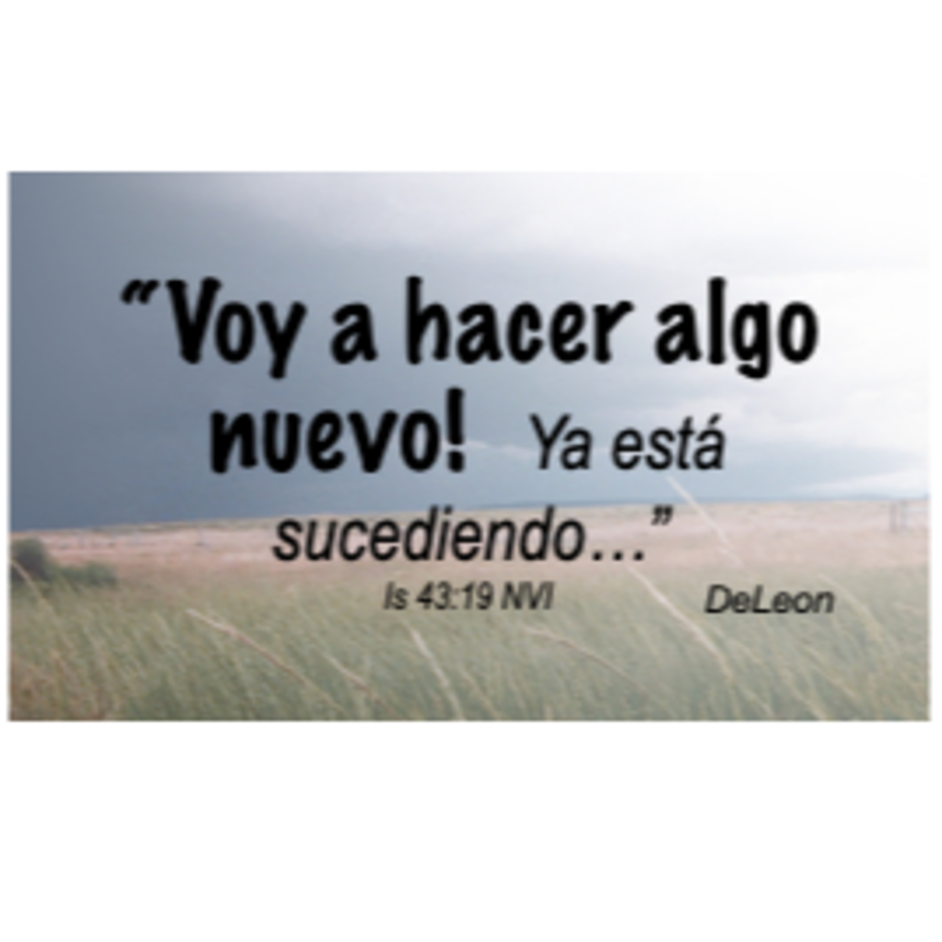 MOMENTOS CON LA PALABRA