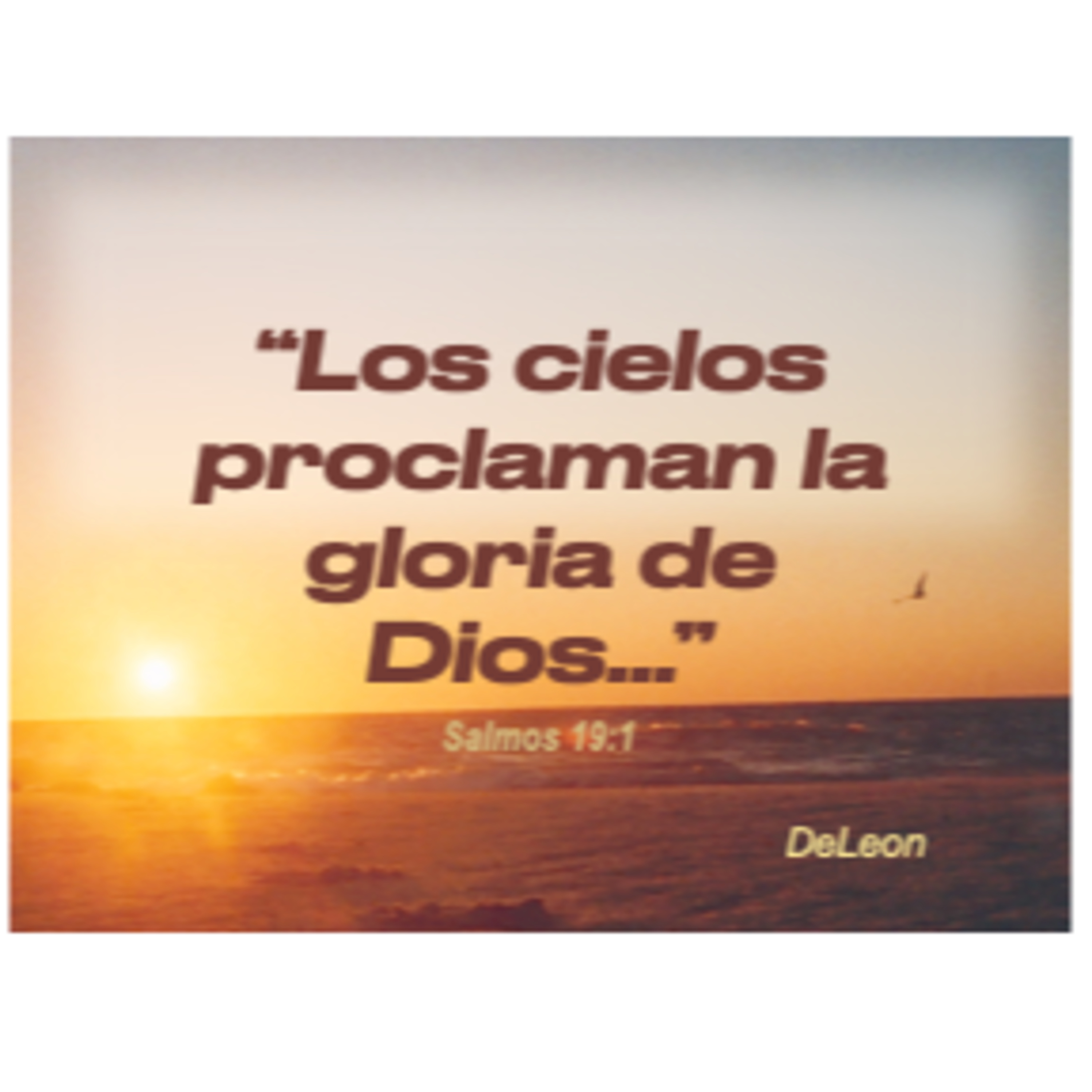 MOMENTOS CON LA PALABRA