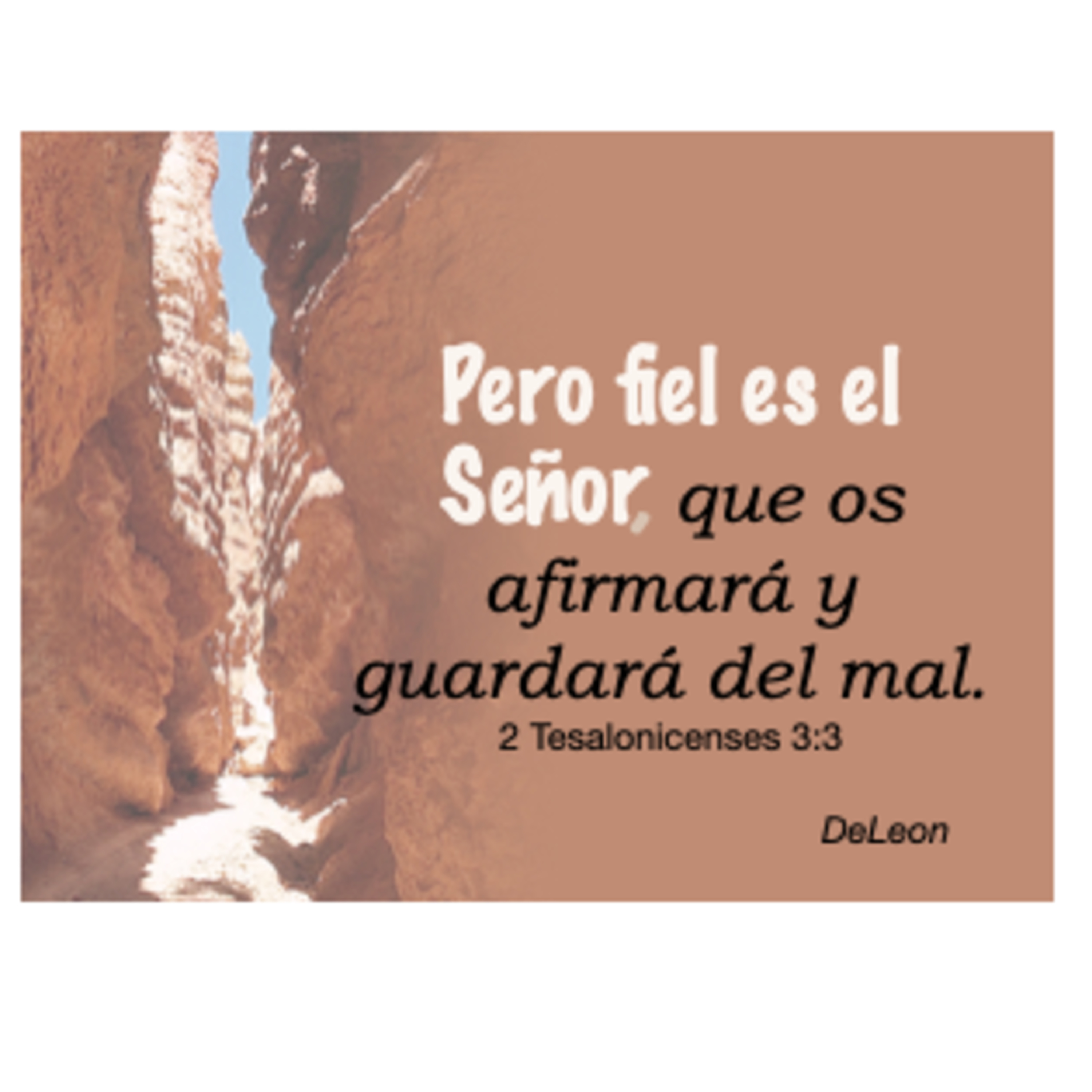 MOMENTOS CON LA PALABRA