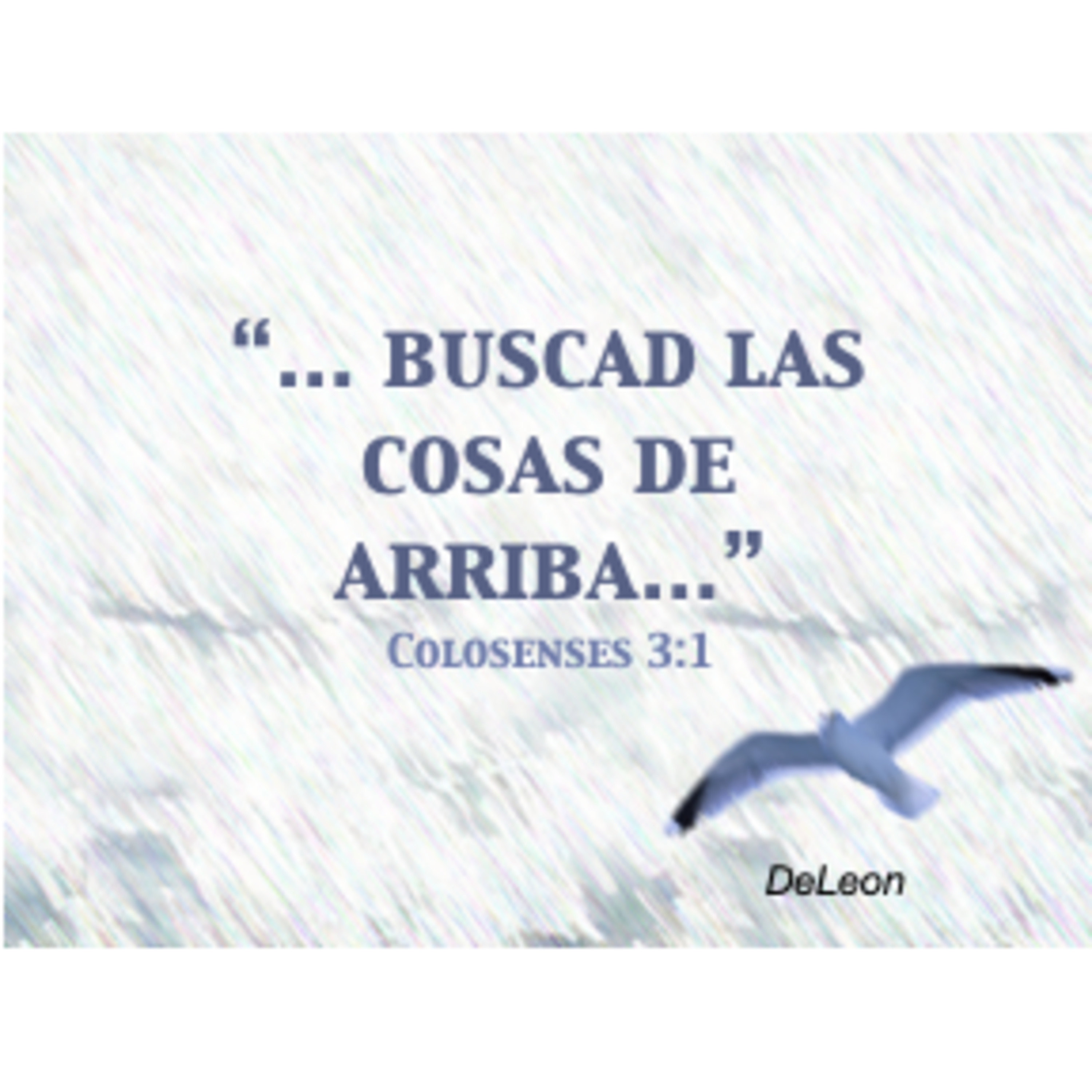 MOMENTOS CON LA PALABRA