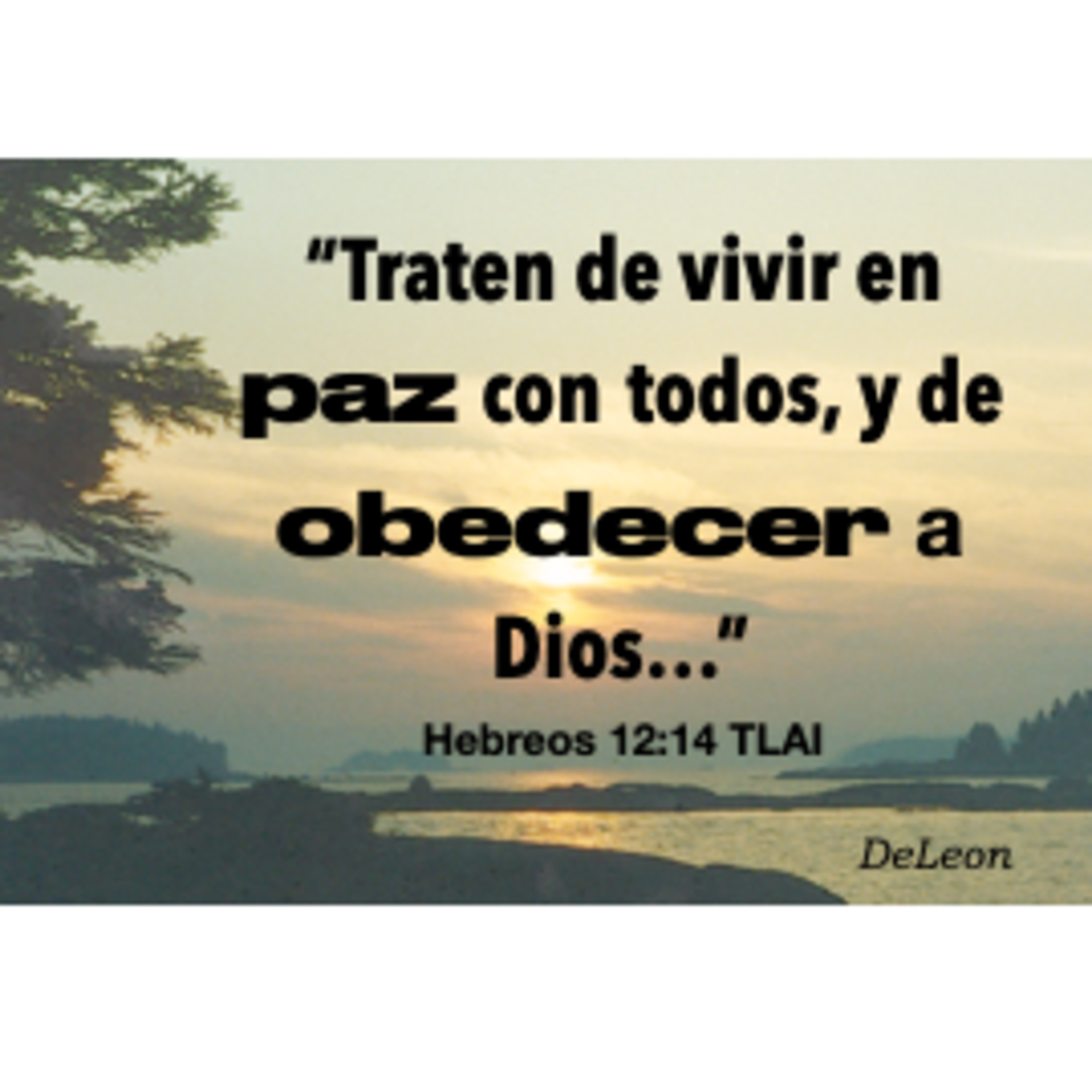 MOMENTOS CON LA PALABRA