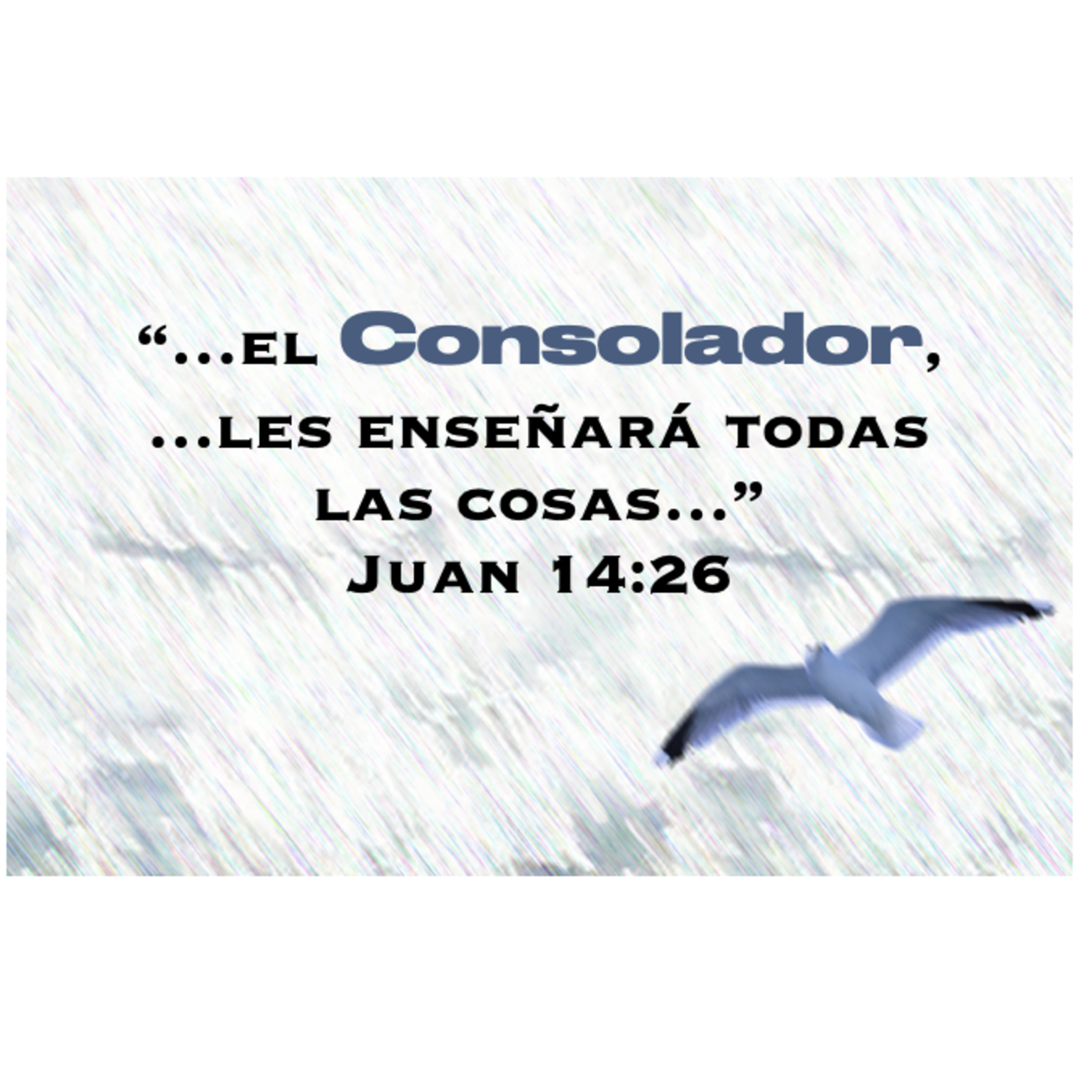 MOMENTOS CON LA PALABRA