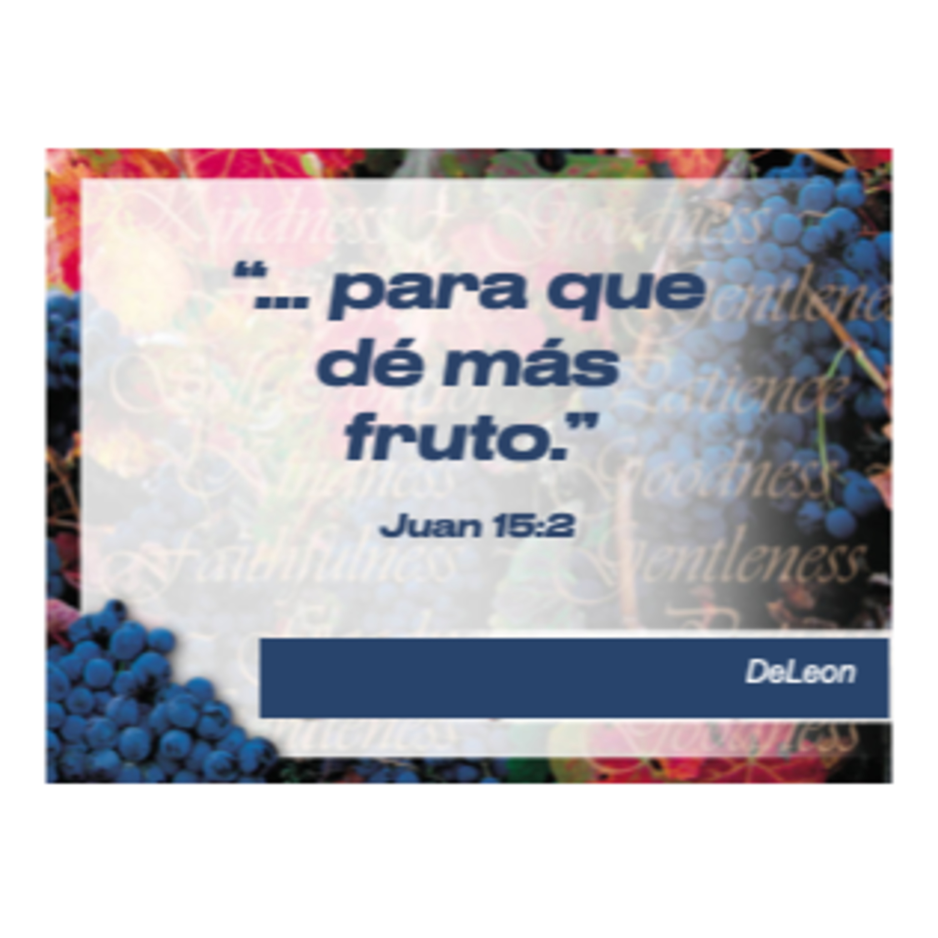 MOMENTOS CON LA PALABRA
