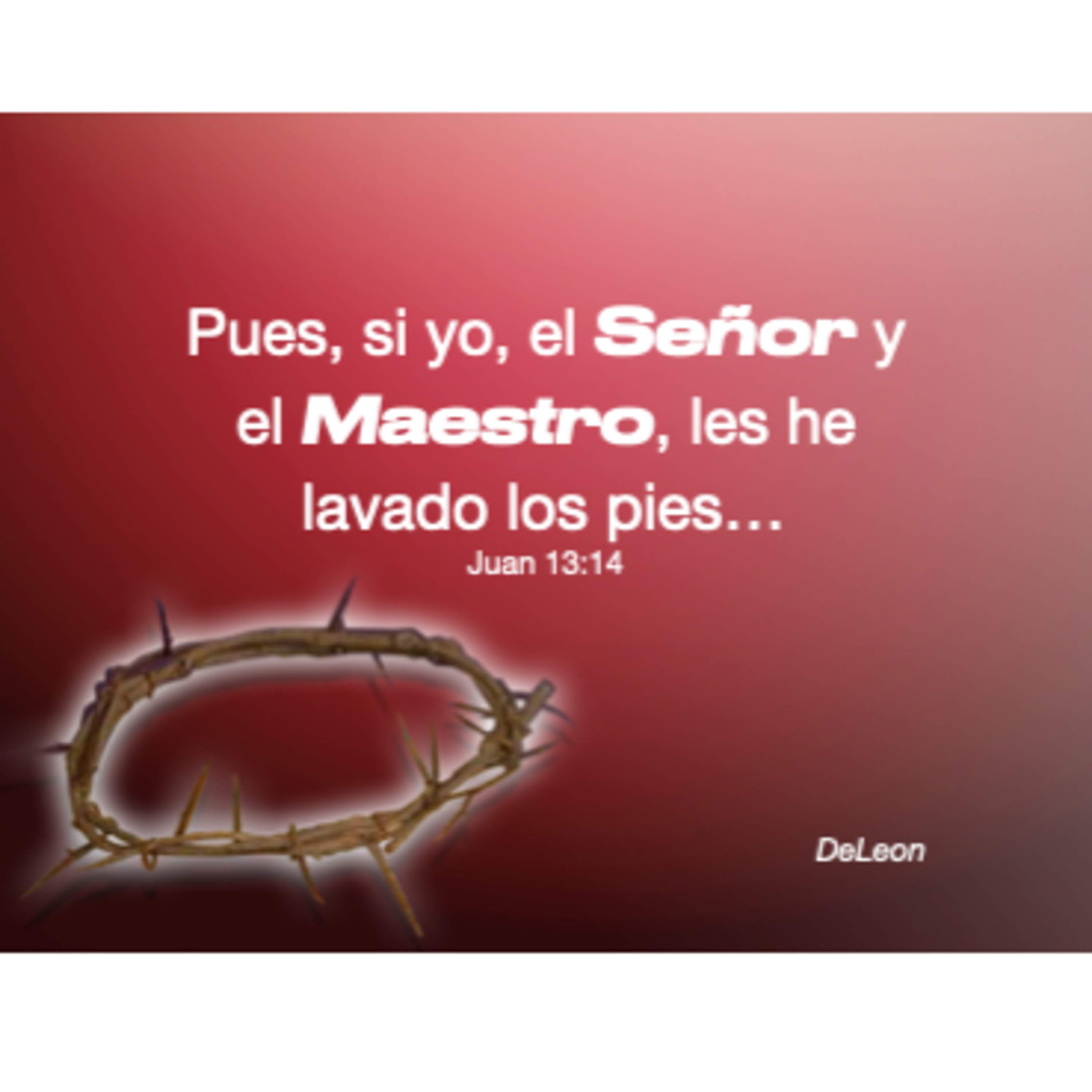 MOMENTOS CON LA PALABRA