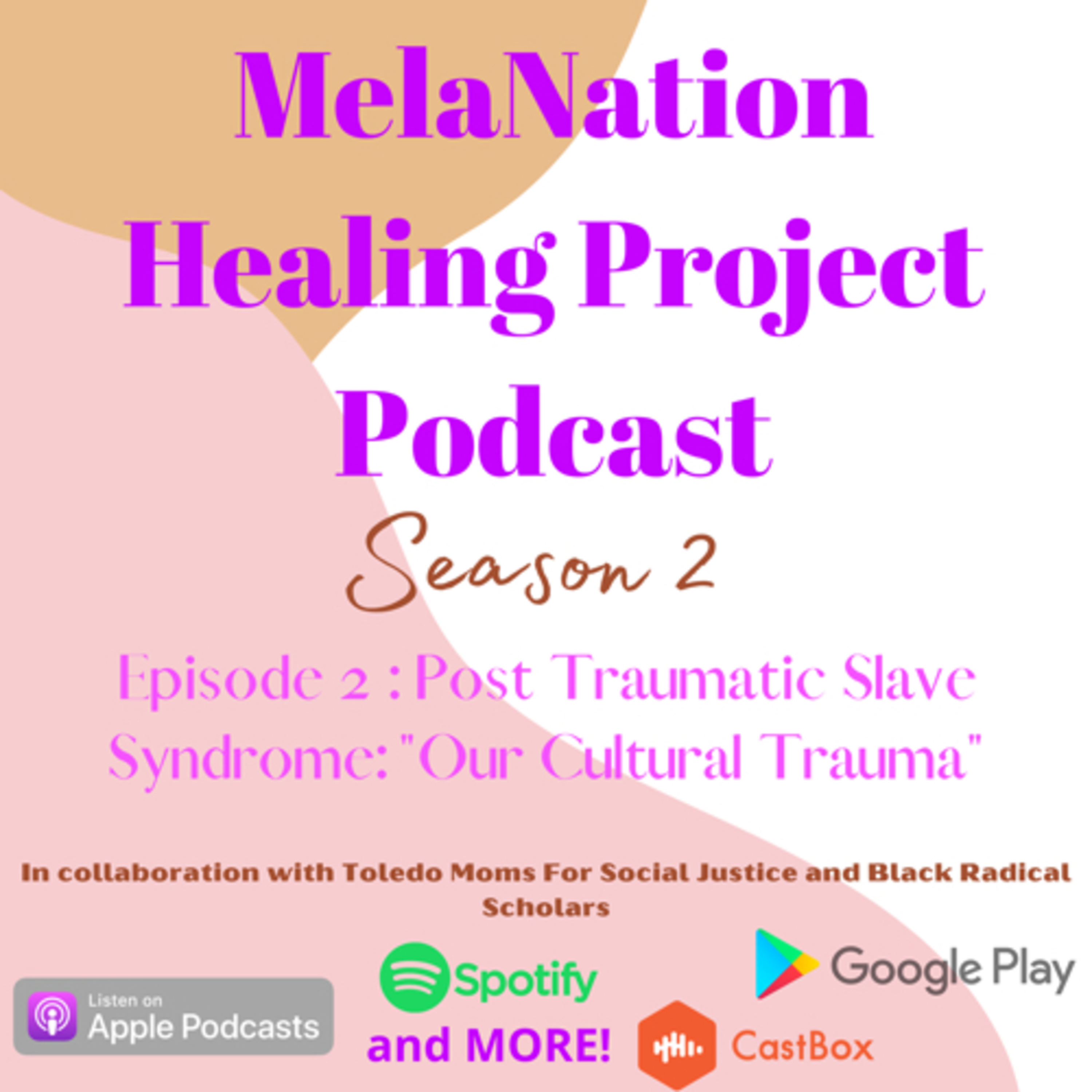 The MelaNation Healing Project