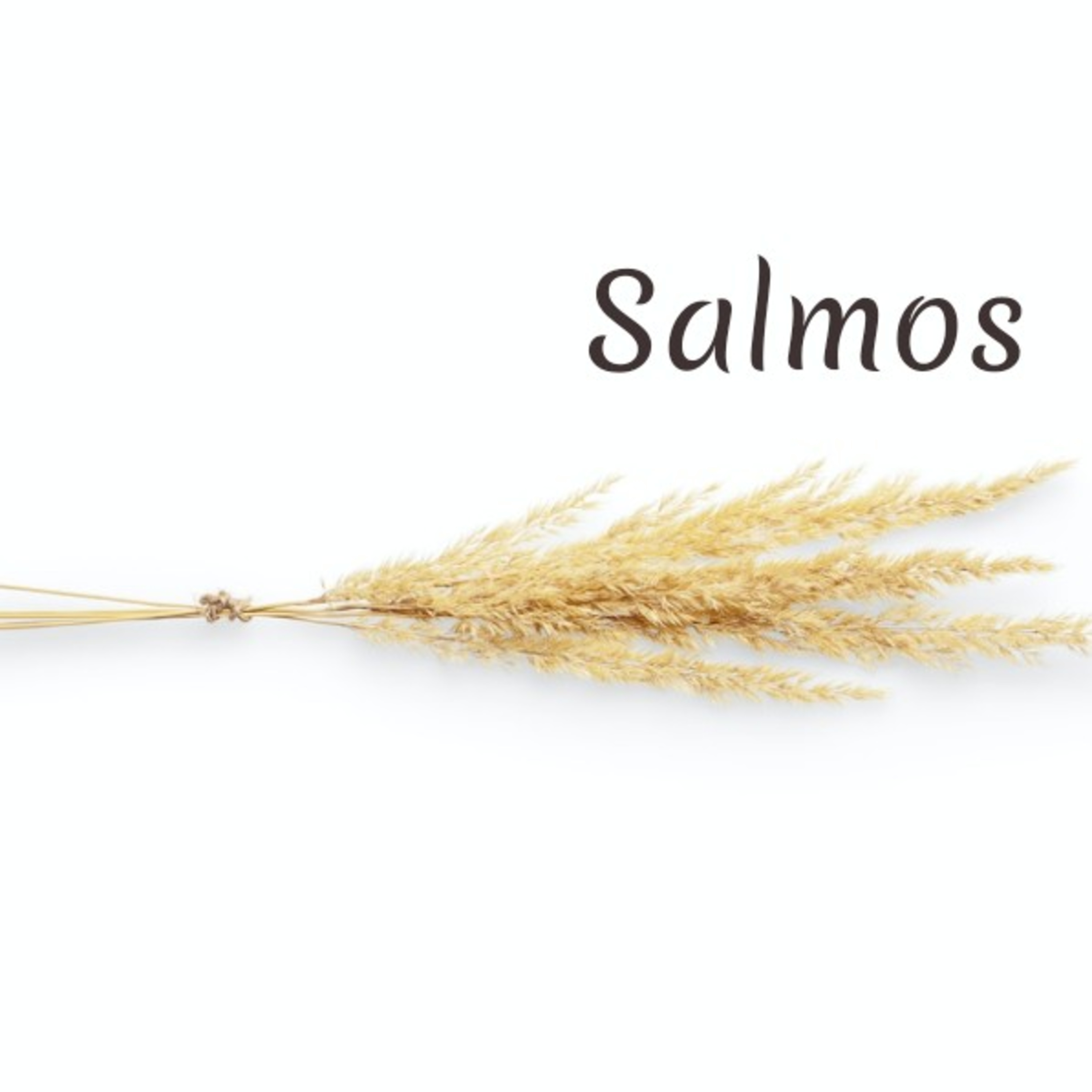 Guiados