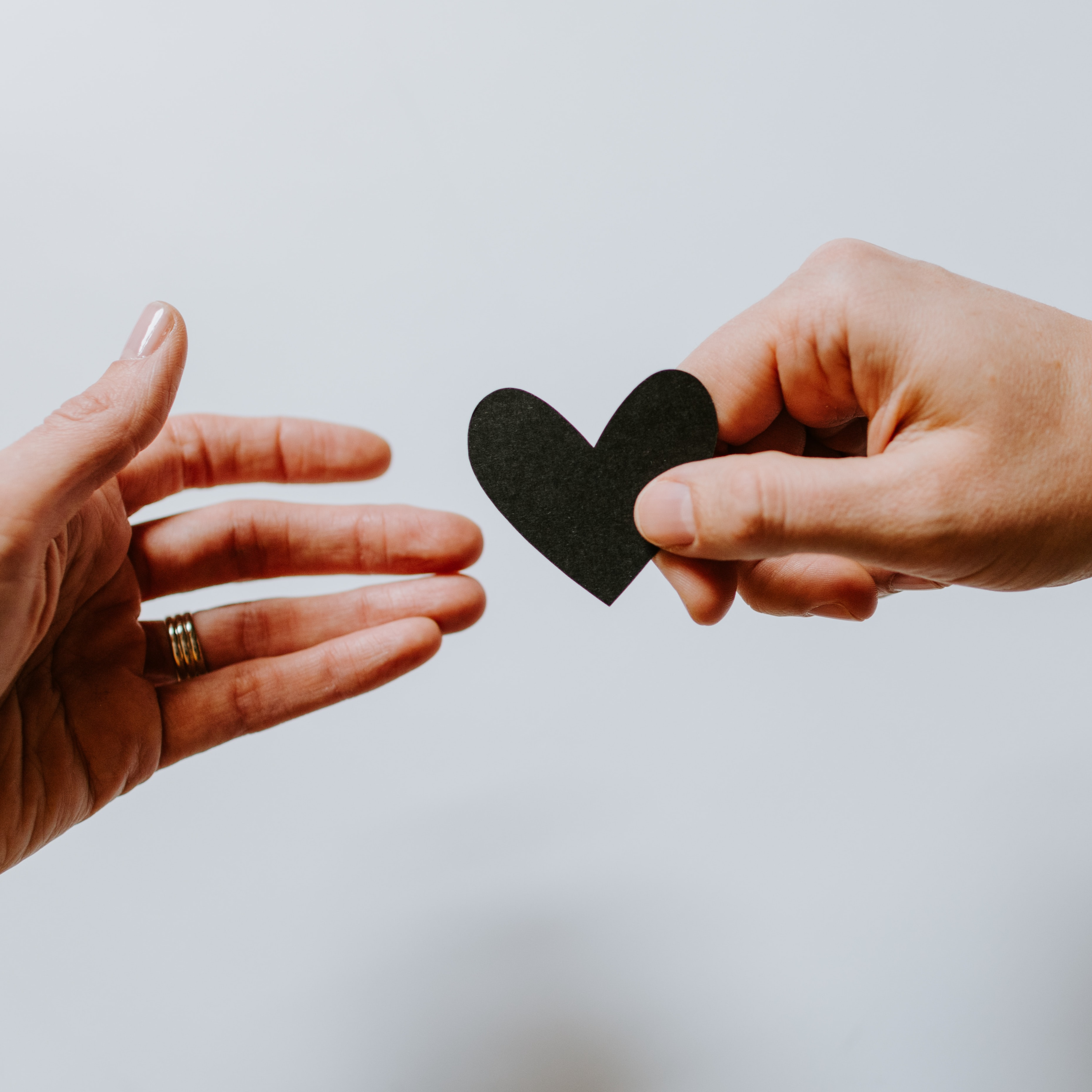 A Life Shared: Parent Helps and Renovations