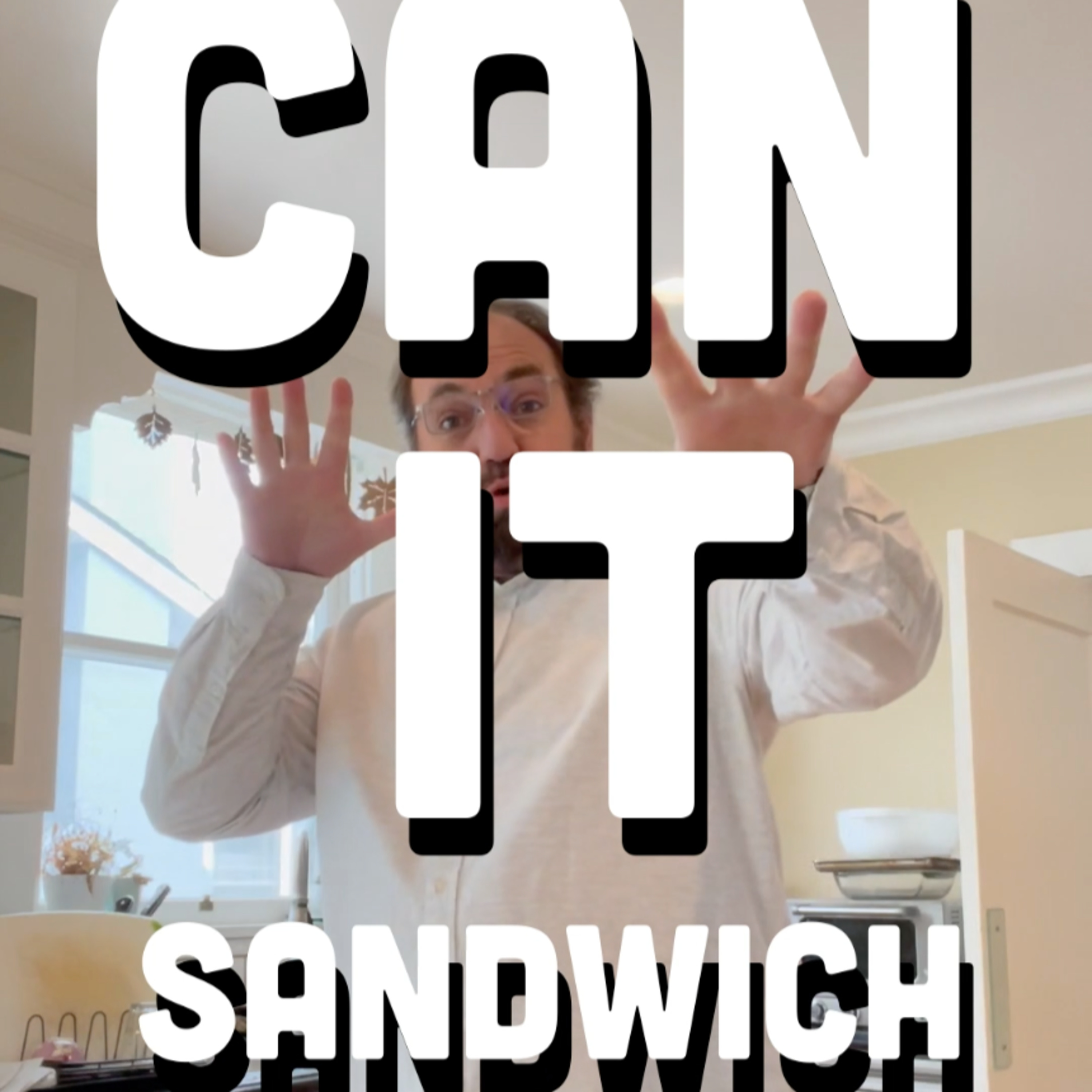 🥪 Can It Sandwich? Dunn’s Dill Pickle/Gitter Chips Grilled Paprika/Bubba’s Gran Garlic Parm Banana Chips on In The Chips with Barry episode artwork
