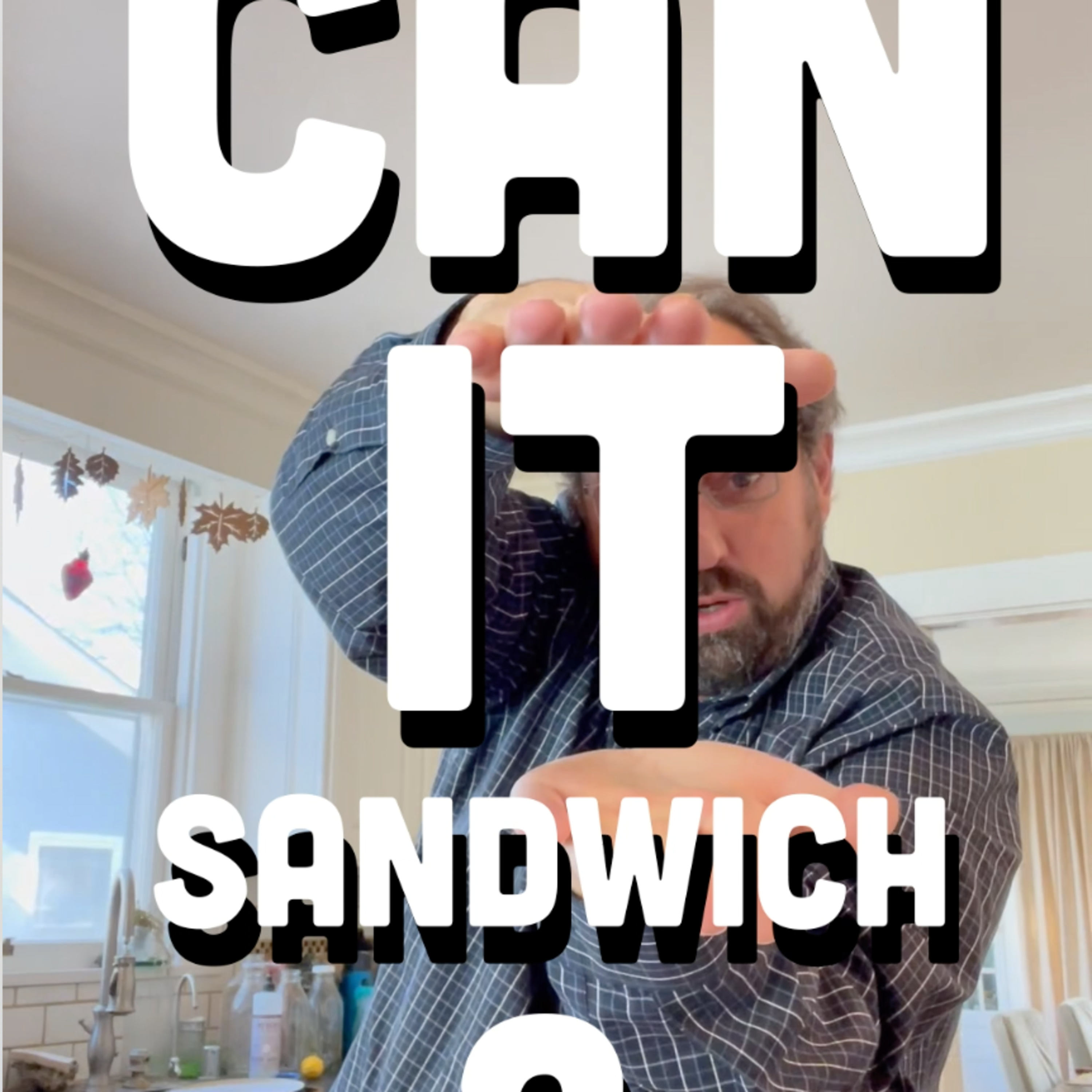 🥪 Can It Sandwich? TX BBQ Vegan Pork Rinds/Smith’s Chicken potato chips/Koikeya Craft Beef & Brown Sauce Snacks episode artwork