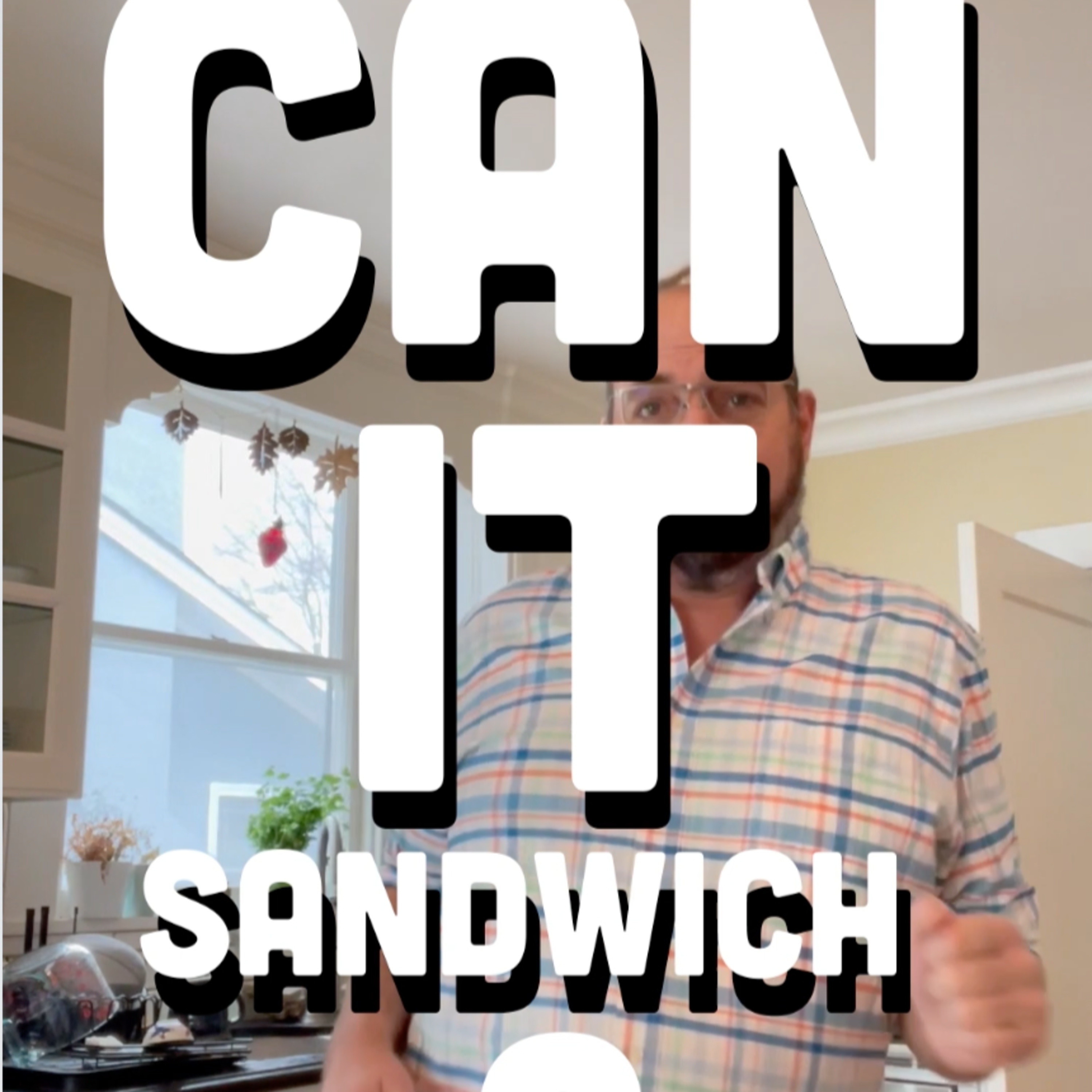 🥪 Can It Sandwich? Carolina Kettle Salt & Balsamic \ Utz Dark Russet potato chips episode artwork