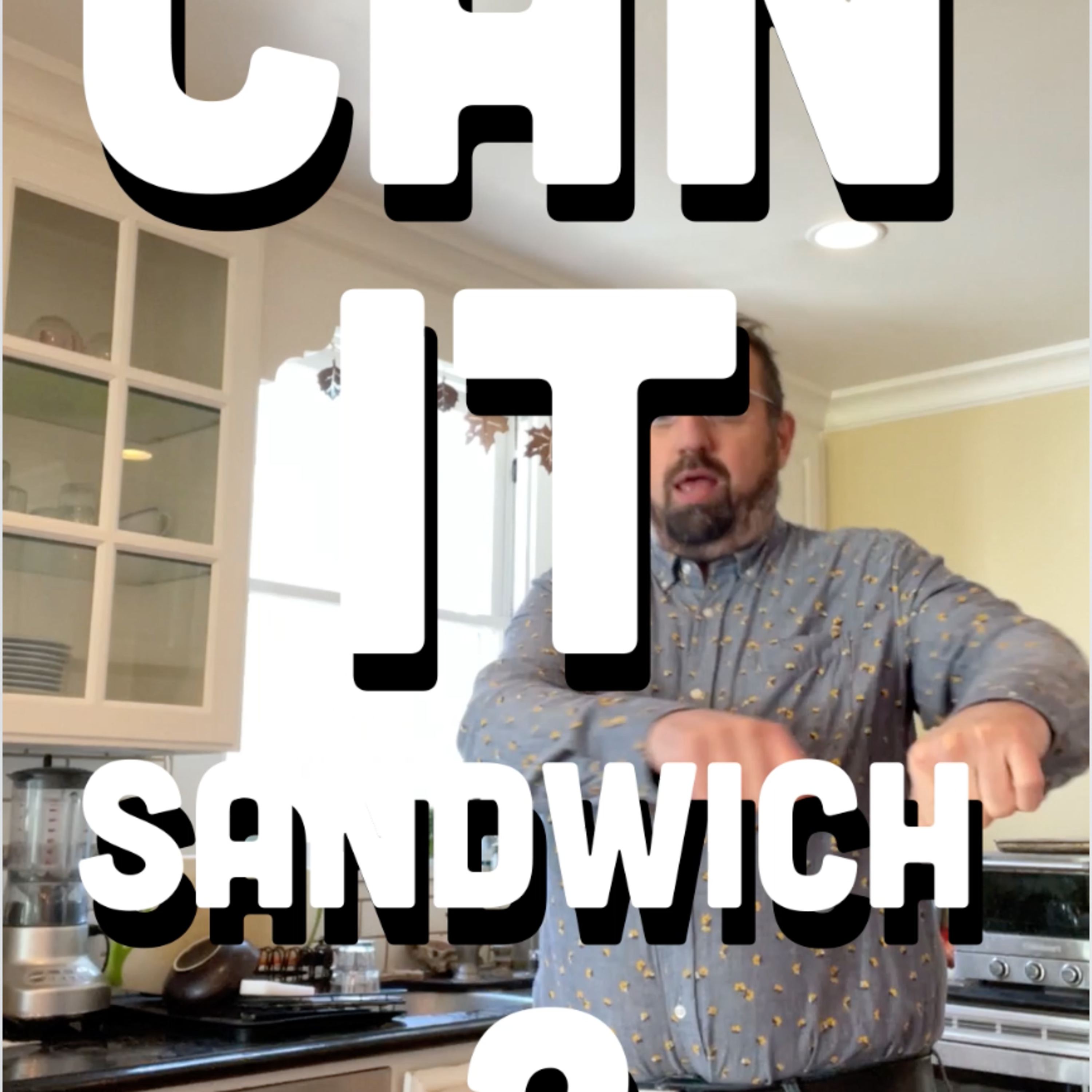 🥪 Can It Sandwich? RW Garcia Avocado Lime tortilla chips / Hardbite Spicy Dill Pickle potato chips / Herr's Baby Back Ribs potato chips episode artwork
