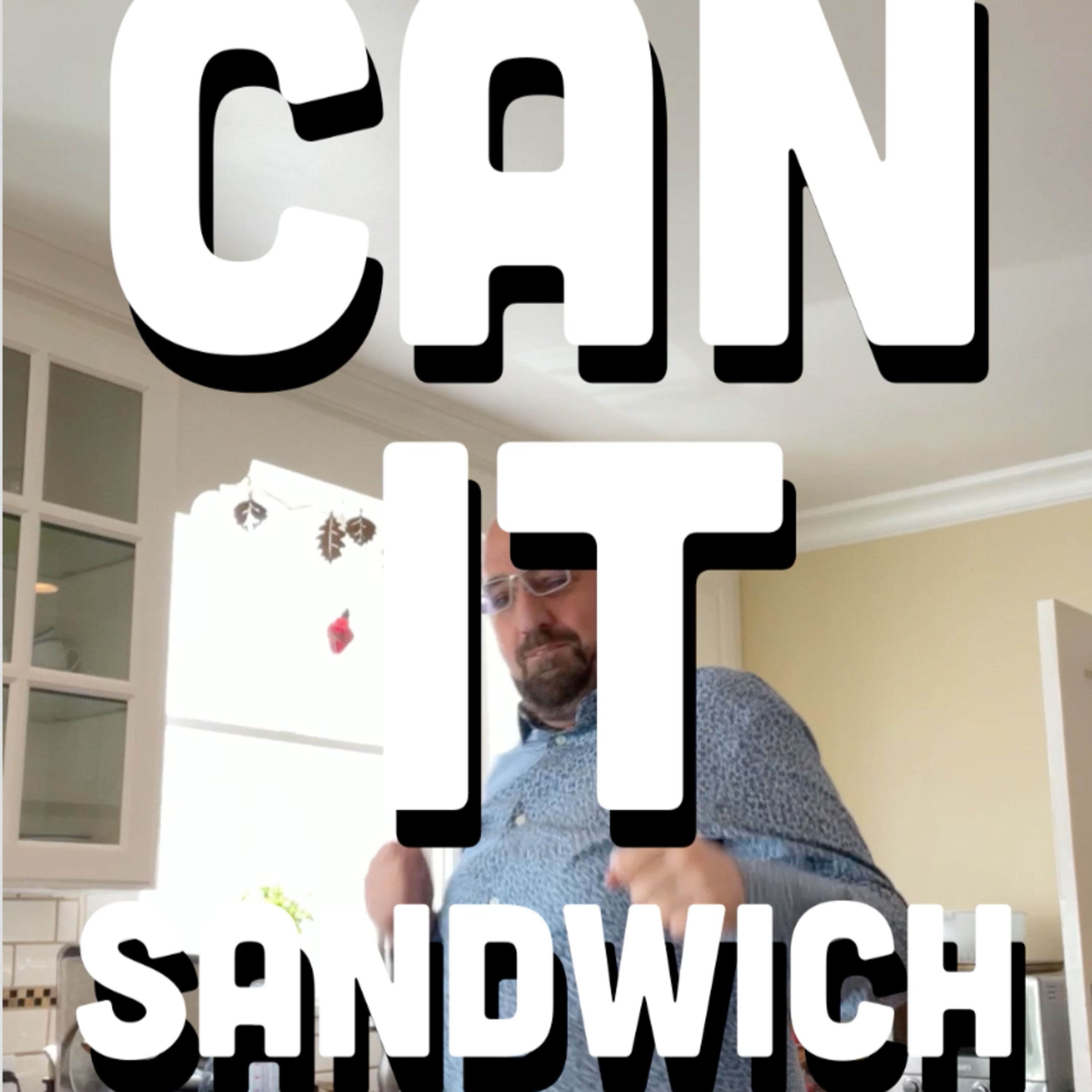 🥪 Can It Sandwich? Not-cho Nacho Banana chips, Hot n’ Spicy potato chips, Dill Pickle potato chips episode artwork