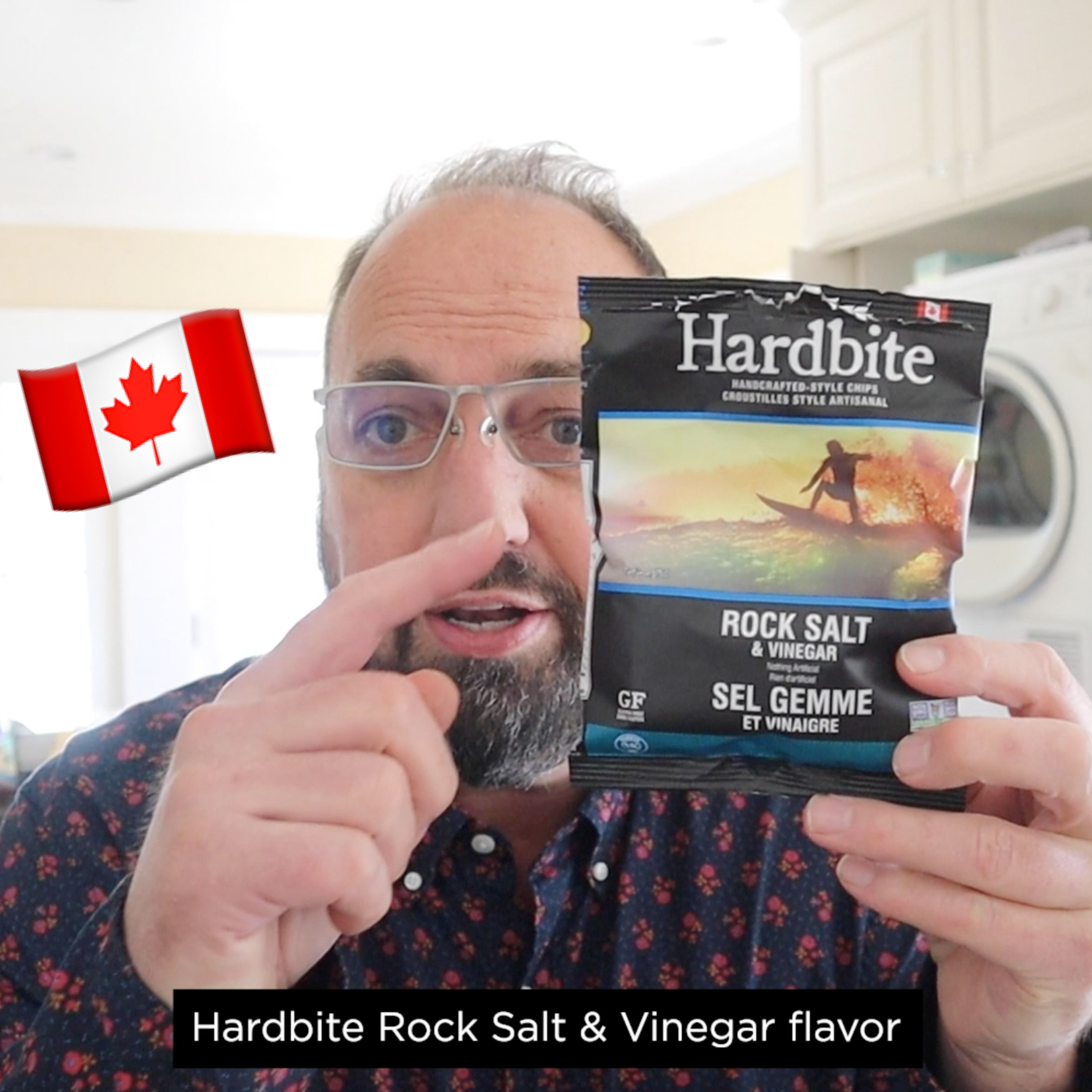 🇨🇦 Hardbite Rock Salt & Vinegar potato chips on In The Chips with Barry episode artwork