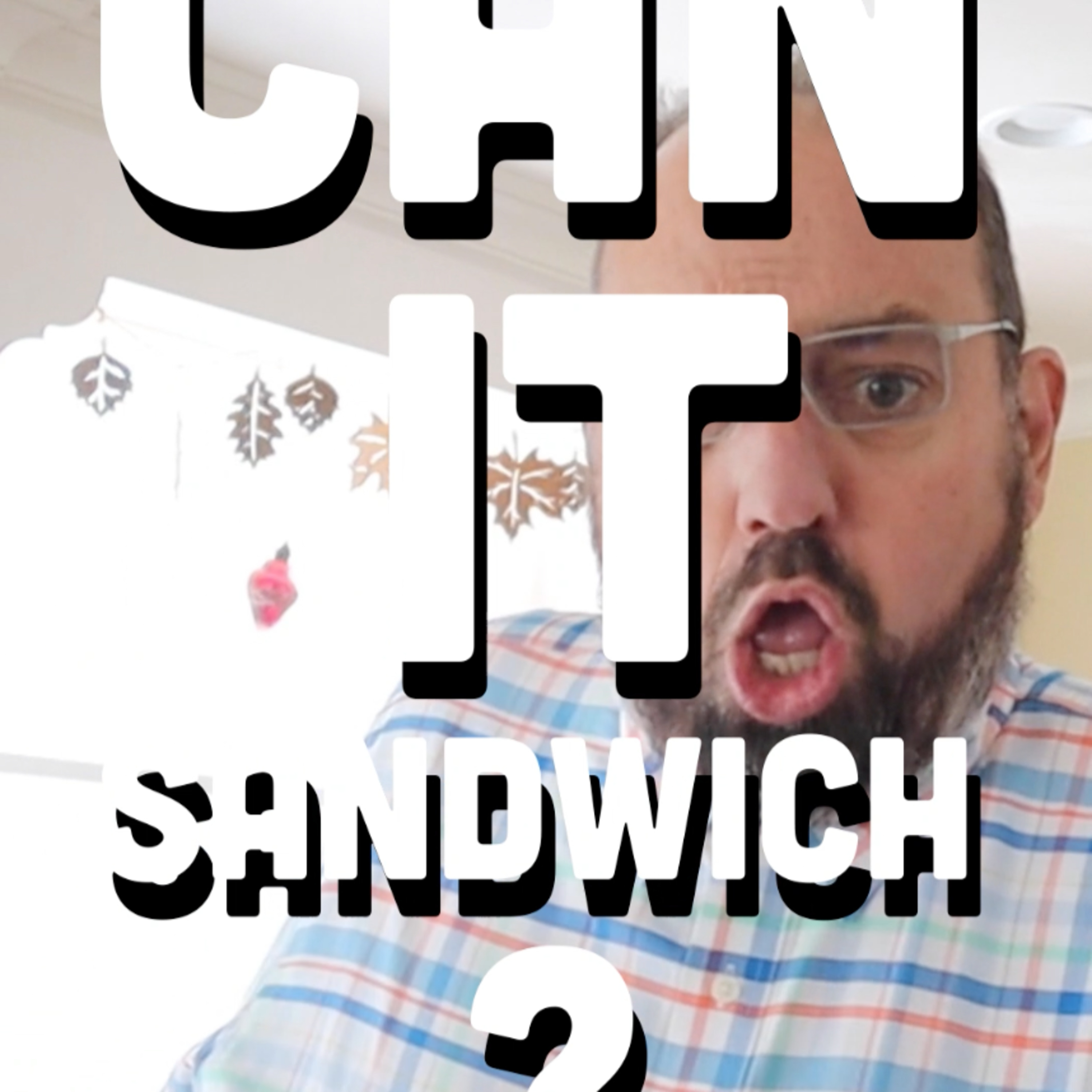 🥪 Can It Sandwich? Rock Salt & Vinegar/Parmesan Garlic/Cacio e Pepe episode artwork