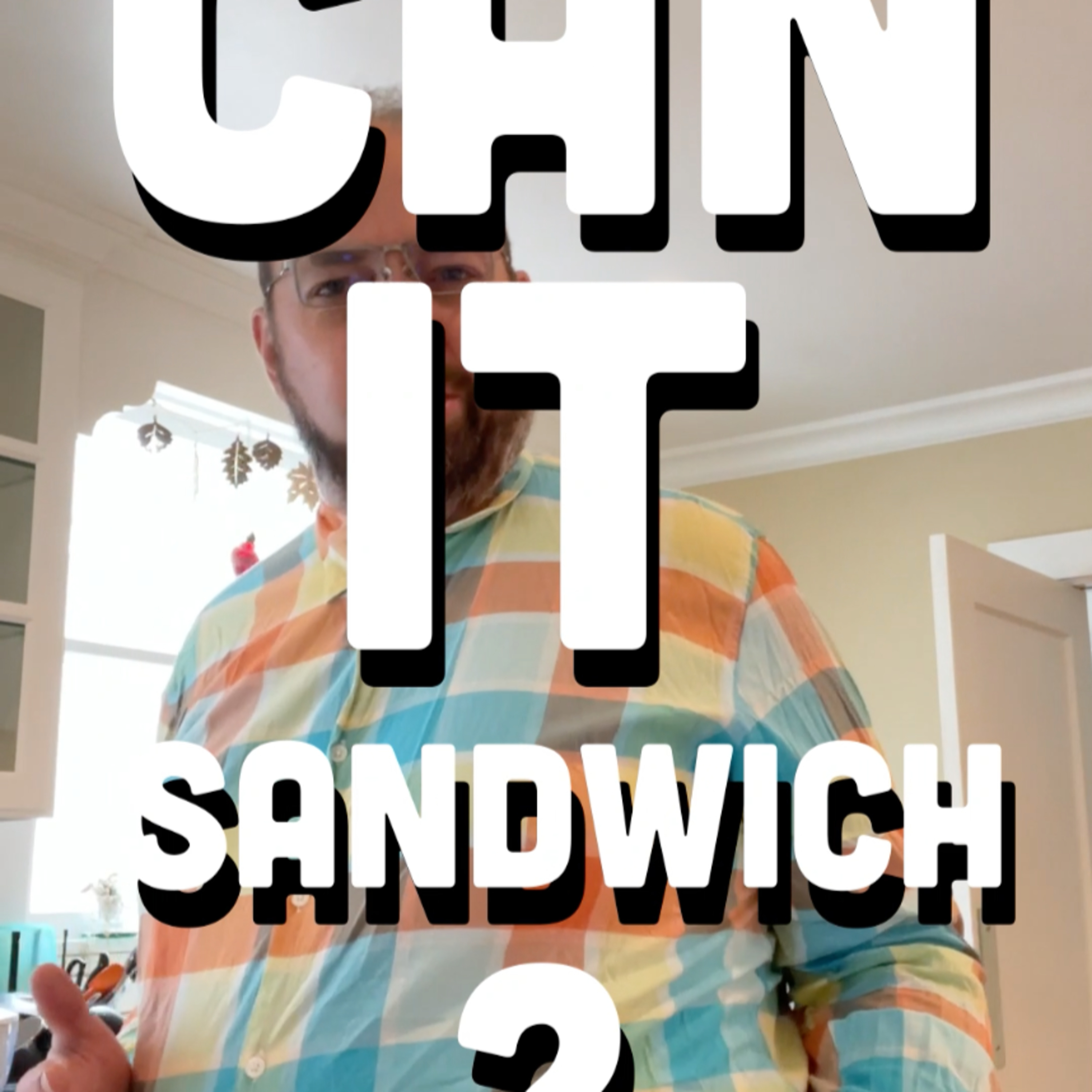 🥪 Can It Sandwich? RW Garcia Bar-B-Q Corn Chips/Old Dutch Smokey BBQ Potato Chips episode artwork