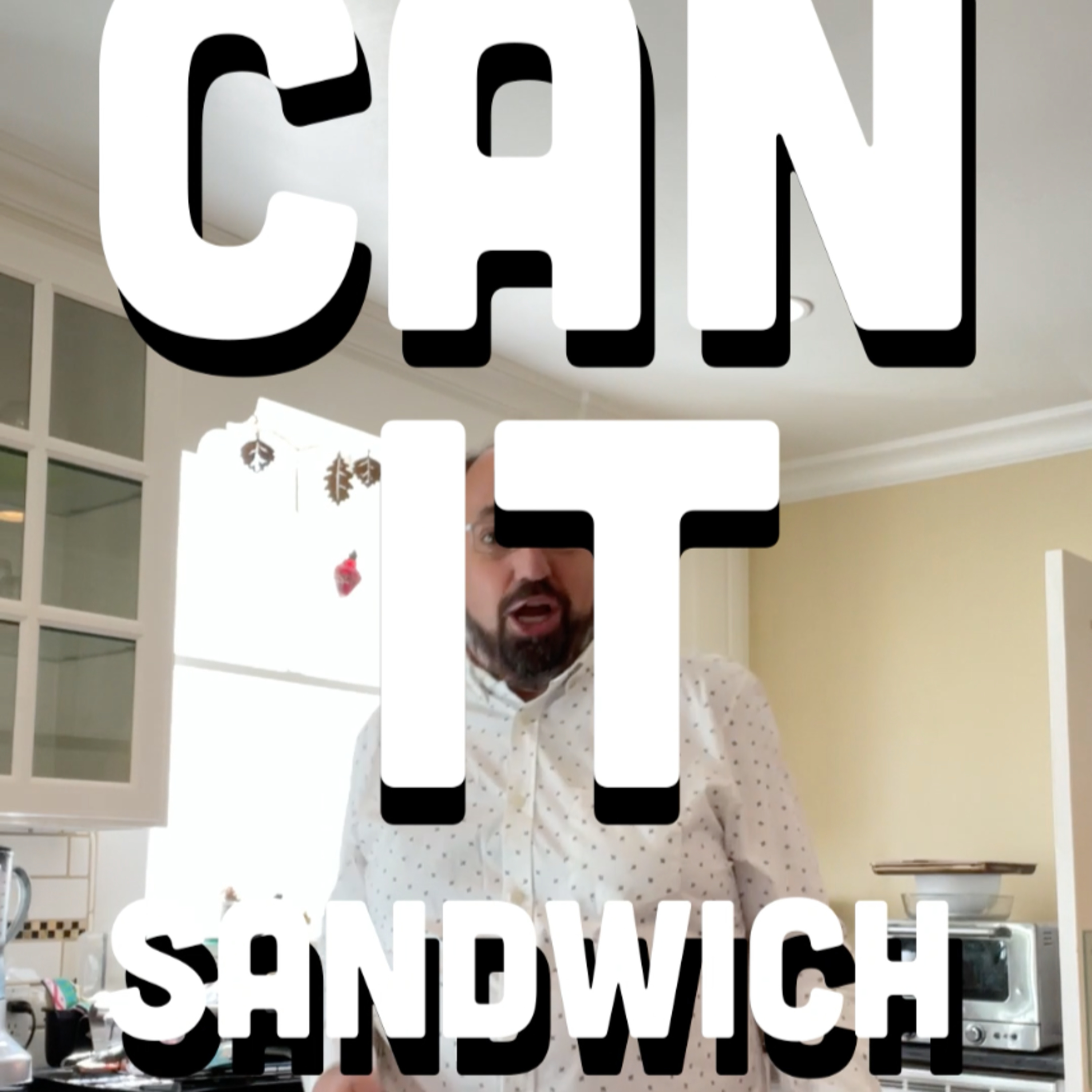 🥪 Can It Sandwich? Jalapeño Blue Cheese Popcorn/Mac and Cheese potato chips/Jerk Chicken potato chips episode artwork