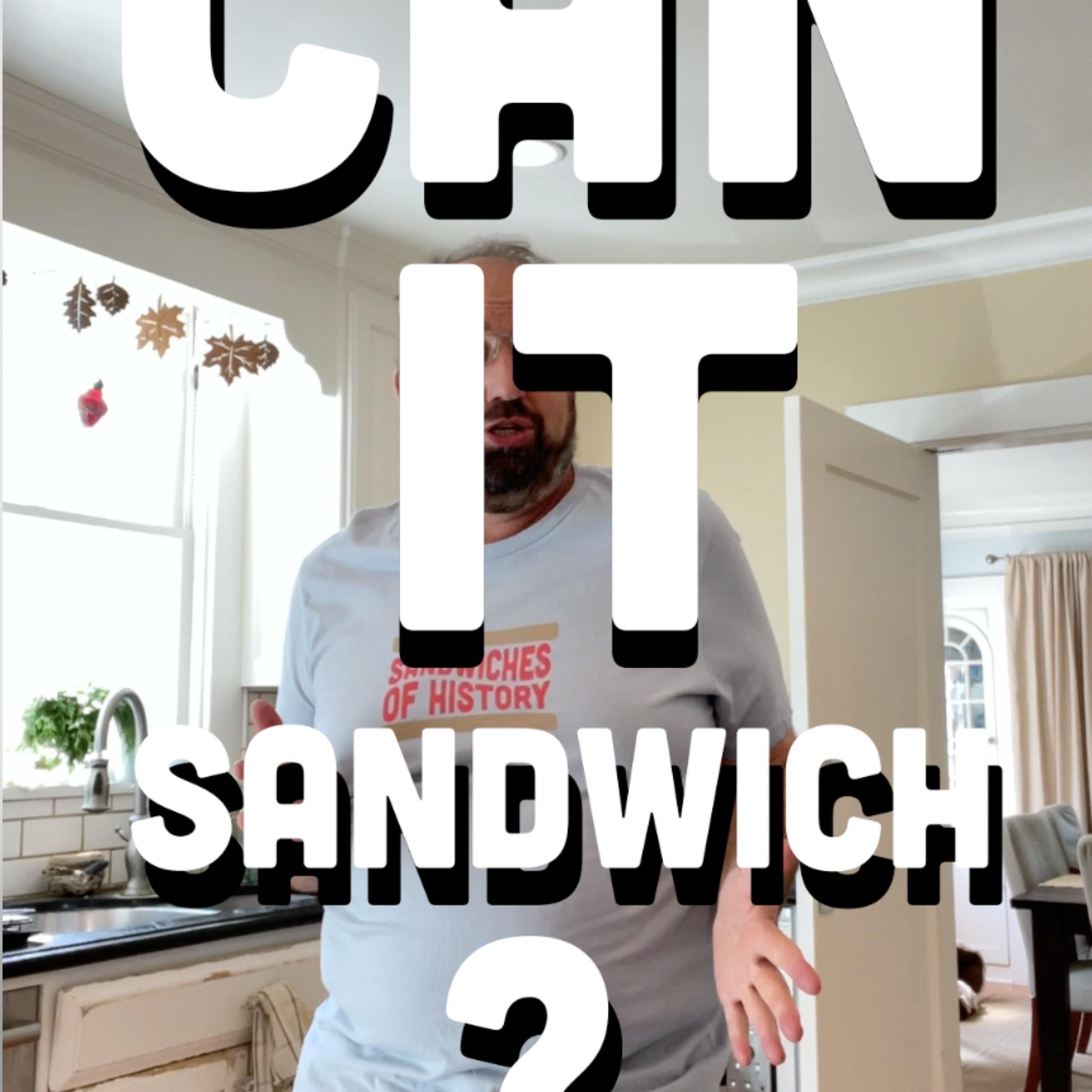 🥪 Can It Sandwich? Lillie's Q Hot Pepper Vinegar potato chips/ Snacklins Chesapeake Bay Vegan Rinds/Tasto Devil potato chips episode artwork