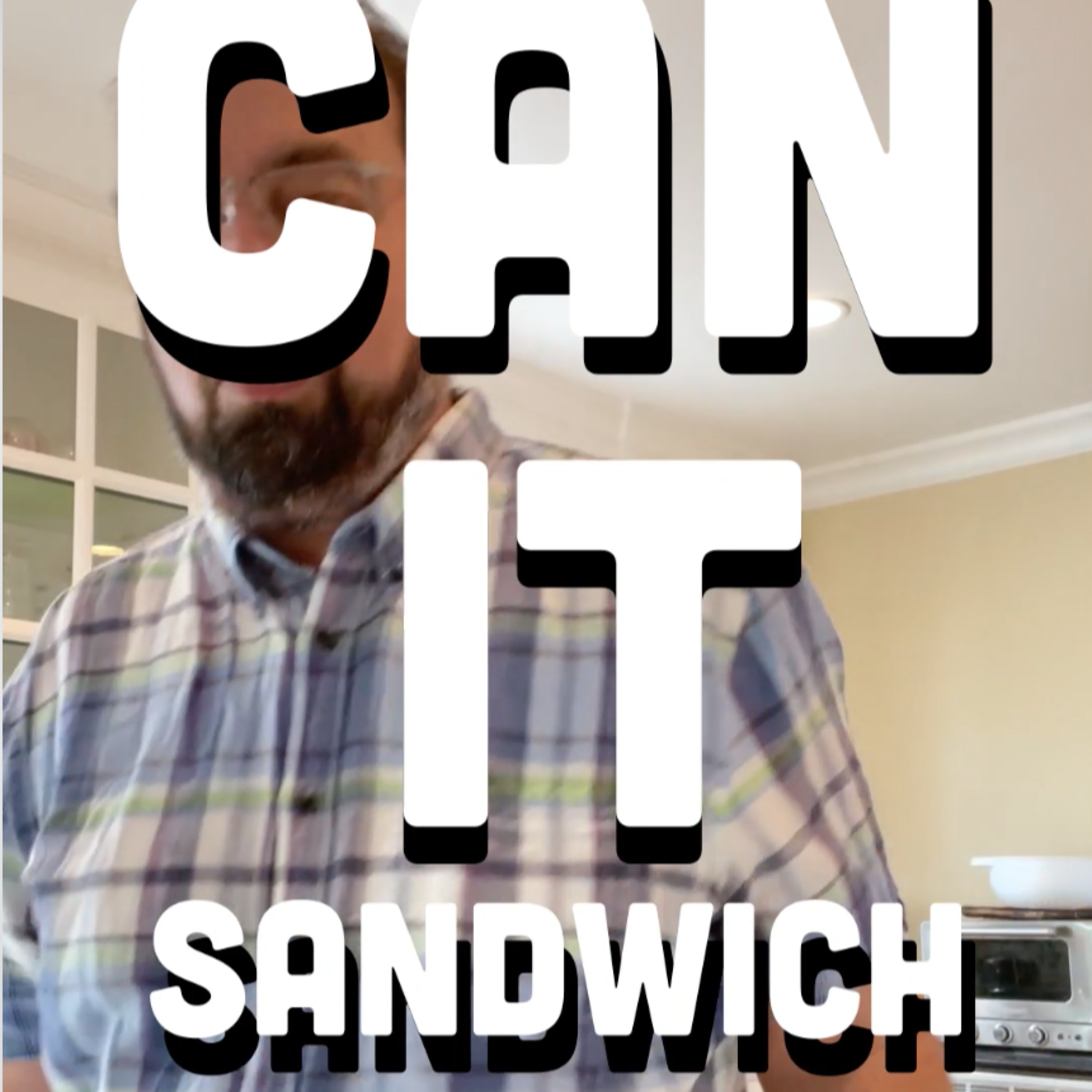 🥪 Can It Sandwich? Hardbite Wild Onion & Yogurt/Cadina Steak flavored potato chips episode artwork