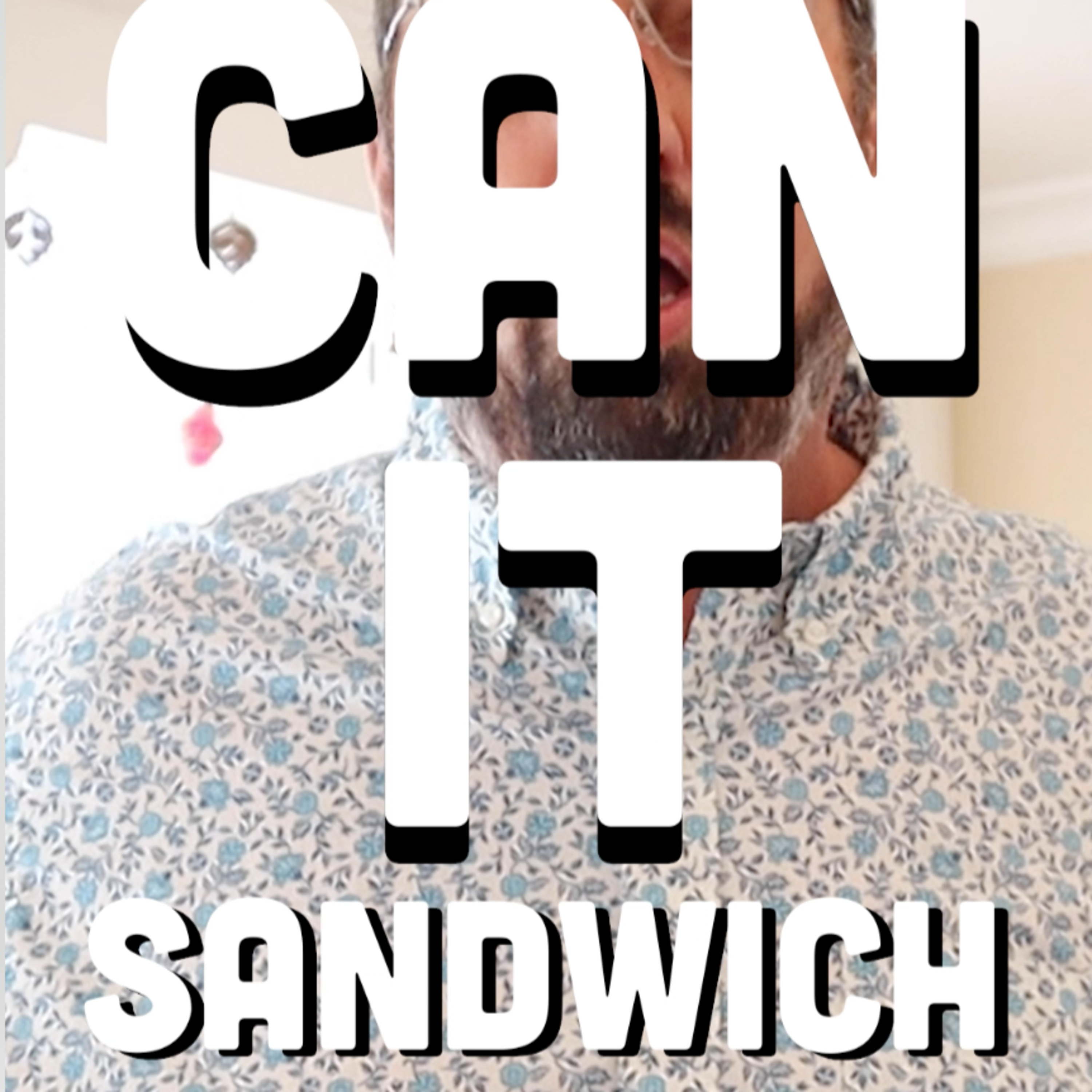 🥪 Can It Sandwich? Pringles Cheesy Cheese/Trader Joe’s Carolina BBQ/Poppamie’s Cheese Jalapeño potato chips episode artwork