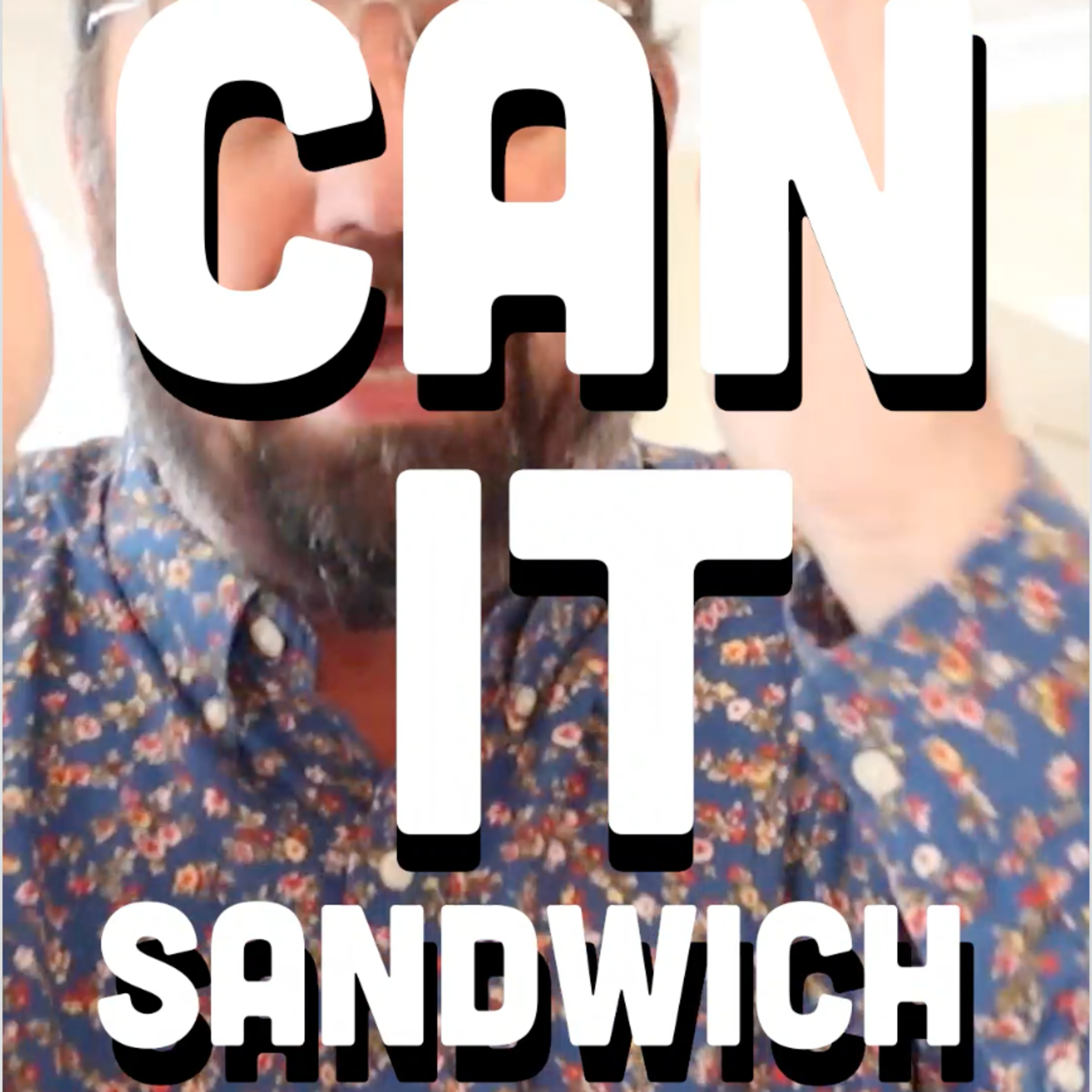 🥪 Can It Sandwich? Massaman Curry Cheetos Japan /Grippo’s BBQ potato chips /Tasto Crab Curry potato chips Thailand episode artwork