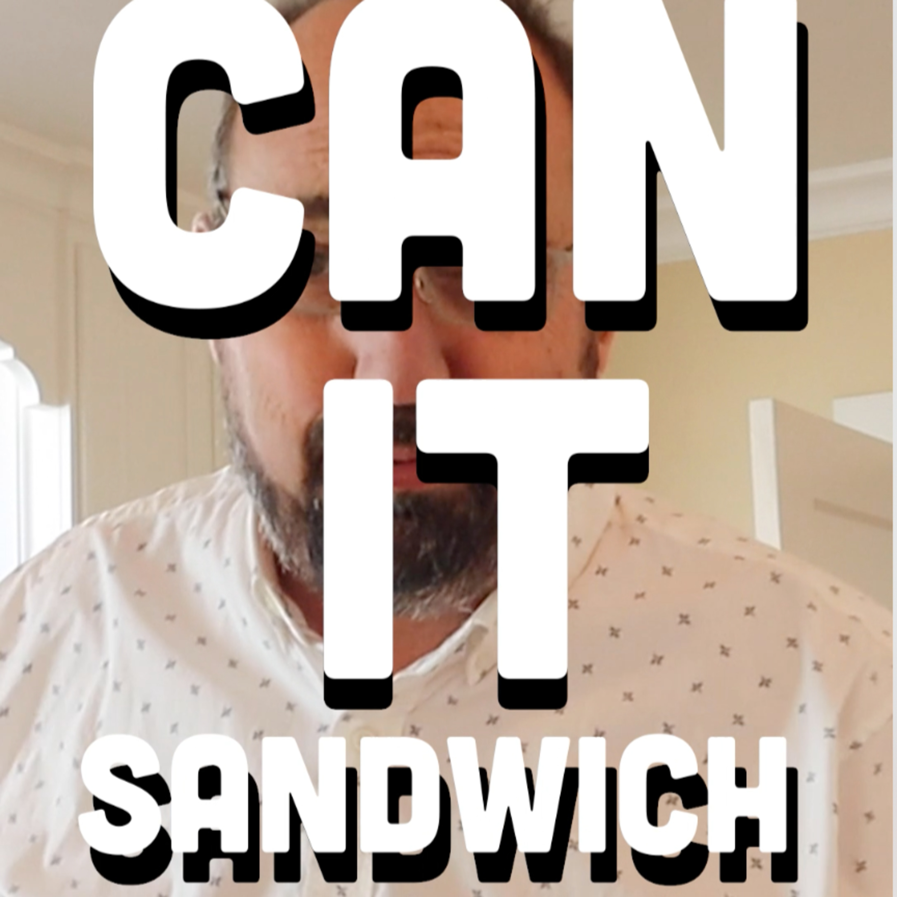🥪 Can It Sandwich? Parmesan potato chips/Seaweed potato chips/Corn Soup Black Pepper corn snack episode artwork