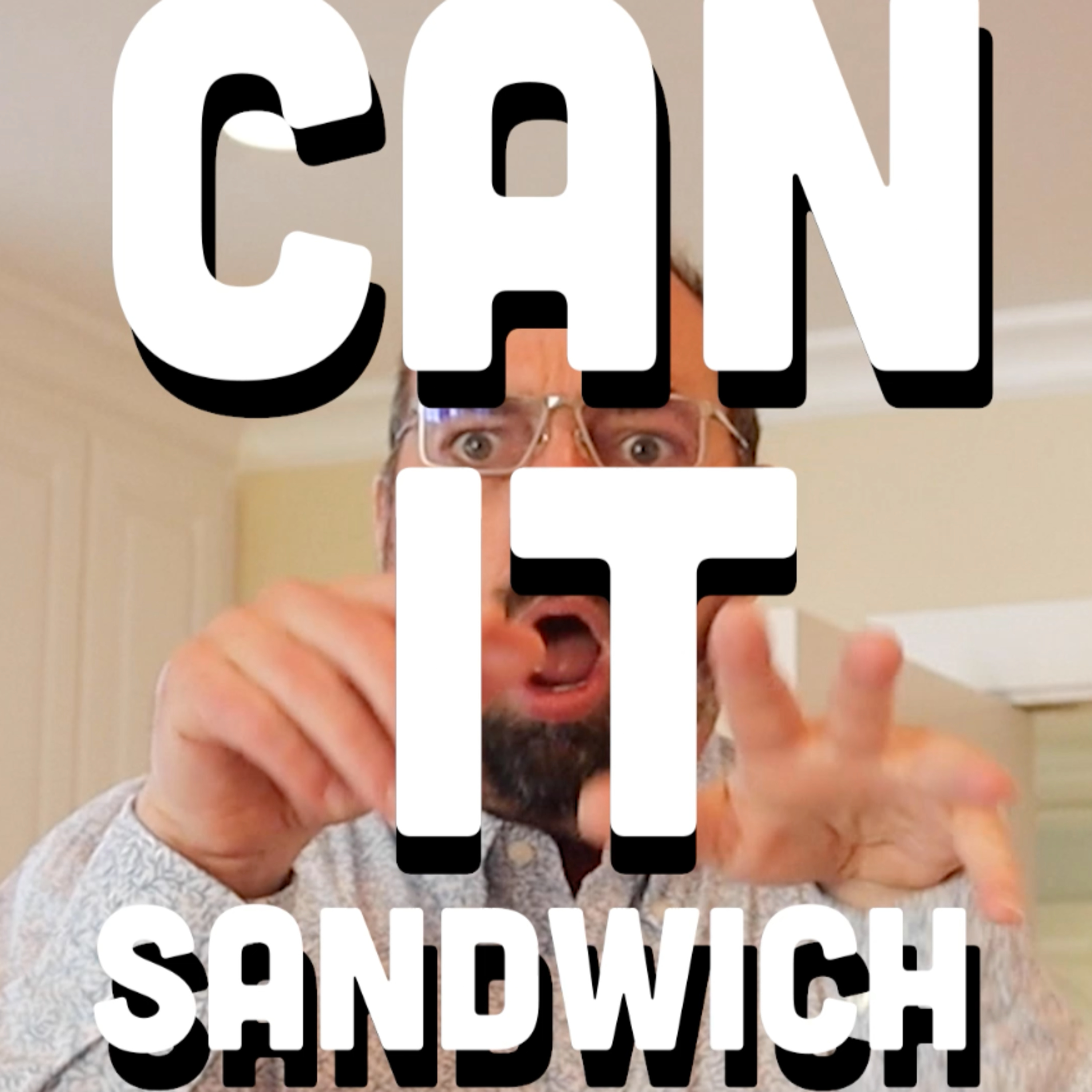 🥪 Can It Sandwich? Conn's Green Onion/Ballreich's Smokey Sweet Mesquite/Martin's Red Hot potato chips episode artwork