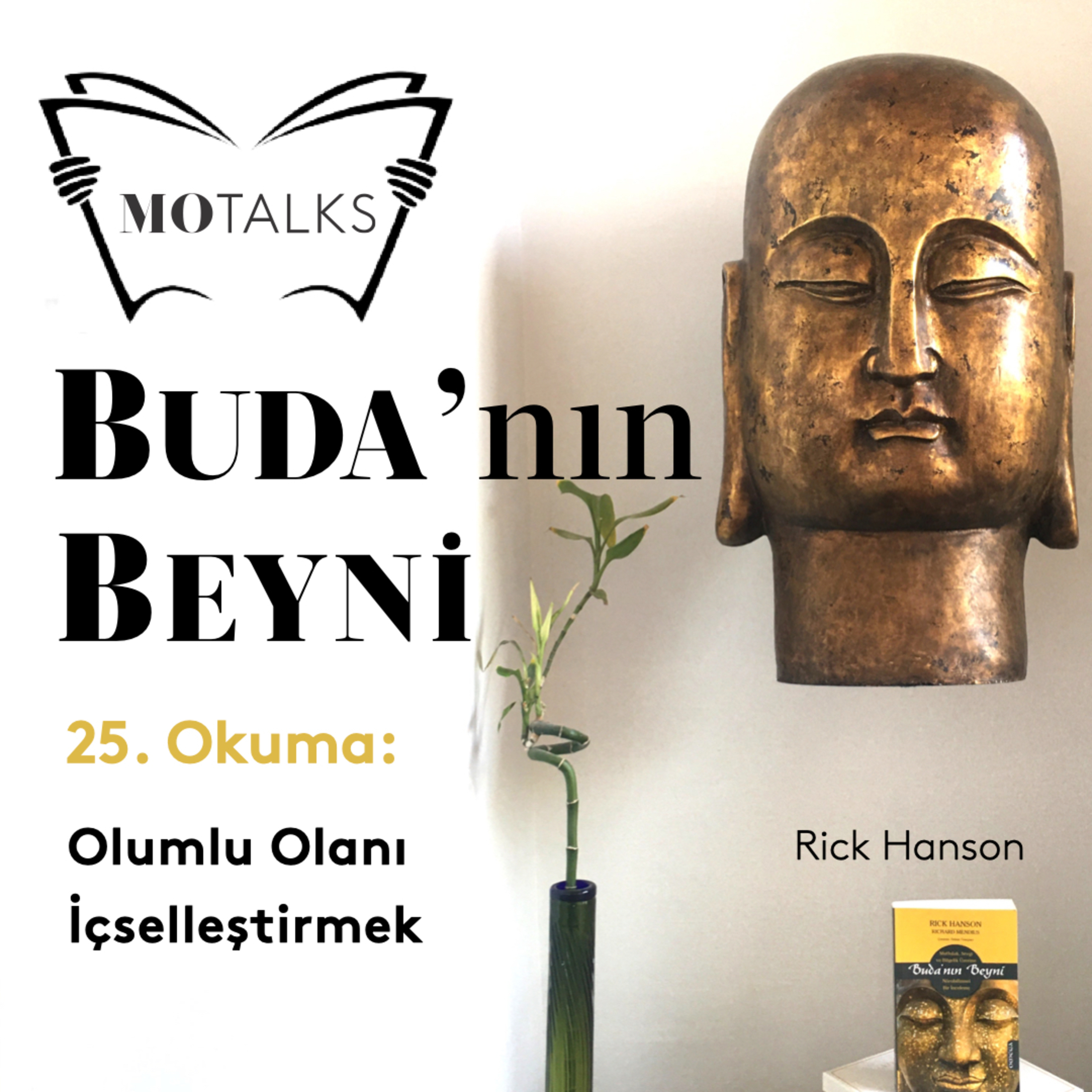 25. Okuma I Buda’nın Beyni: Olumlu Olanı İçselleştirmek